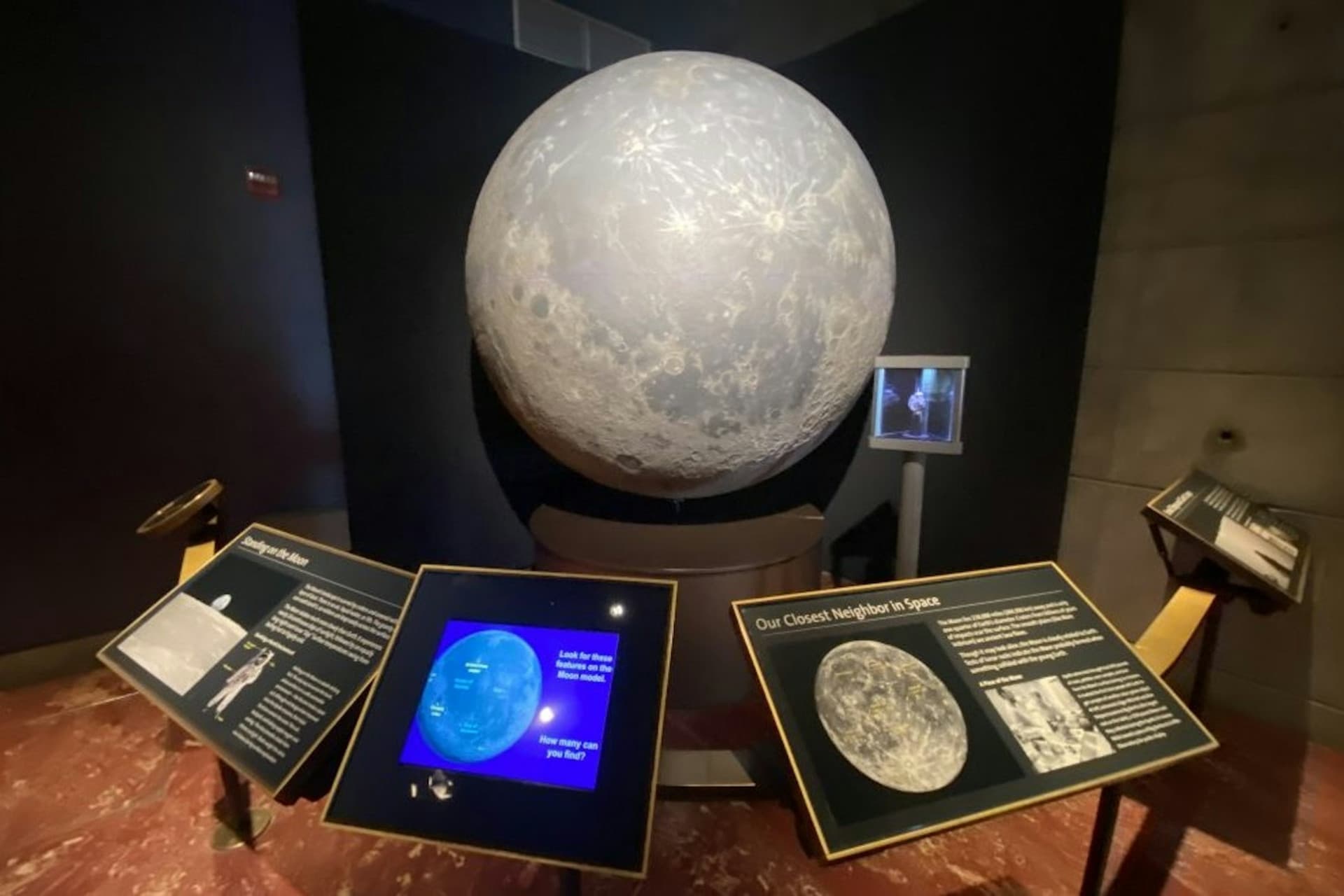 Griffith Observatory: Guided Tour + Planetarium Show Ticket - تصویر 11