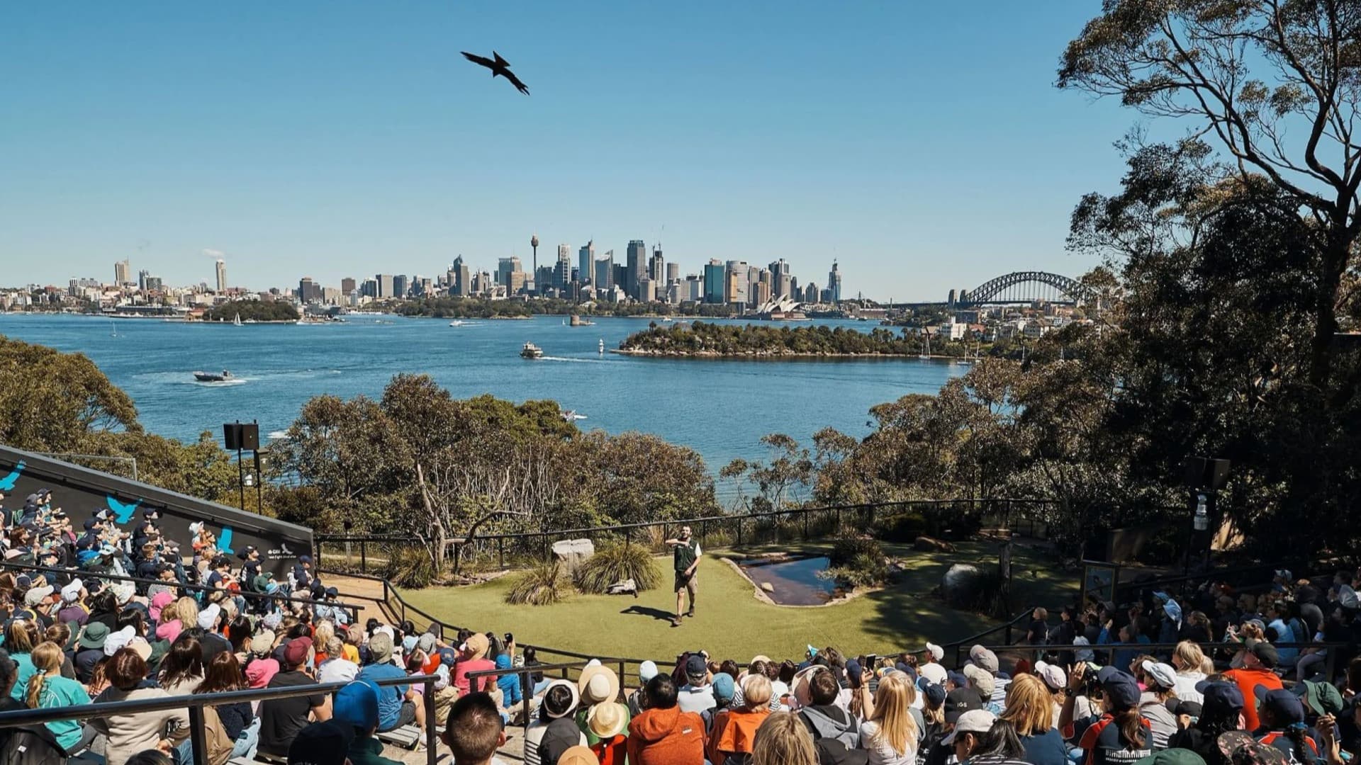 Taronga Zoo Ticket with Optional Round Trip Ferry - تصویر 2