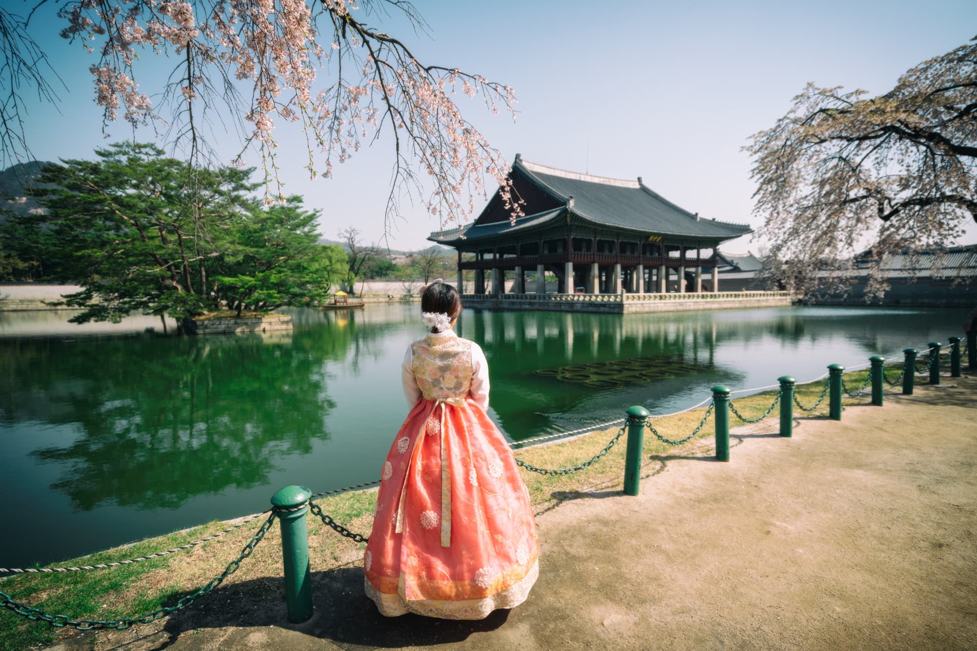 Professional Photo Shoot in Seoul - تصویر 3