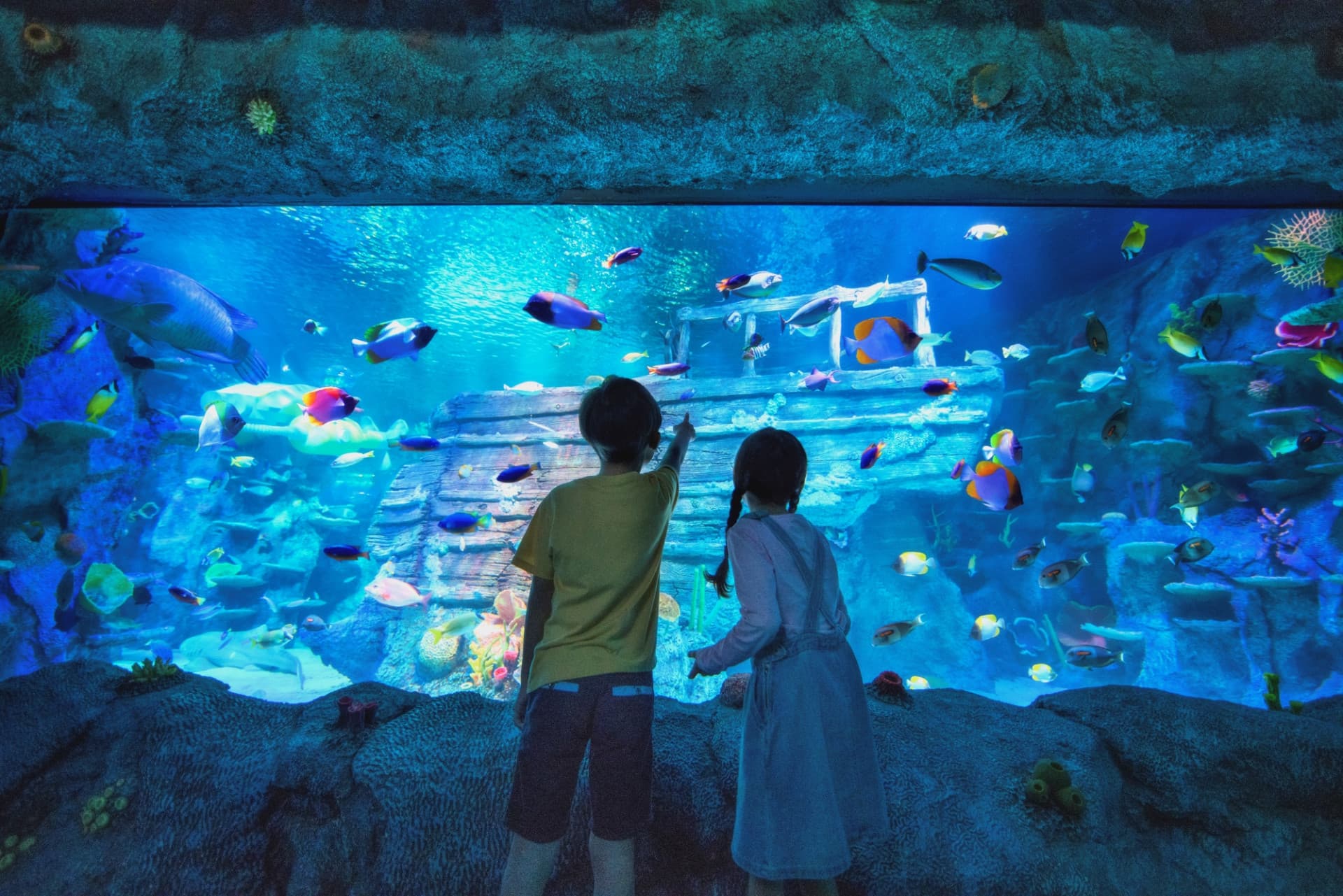 Go City Singapore All-Inclusive Pass: Save up to 50% on Attractions - تصویر 11