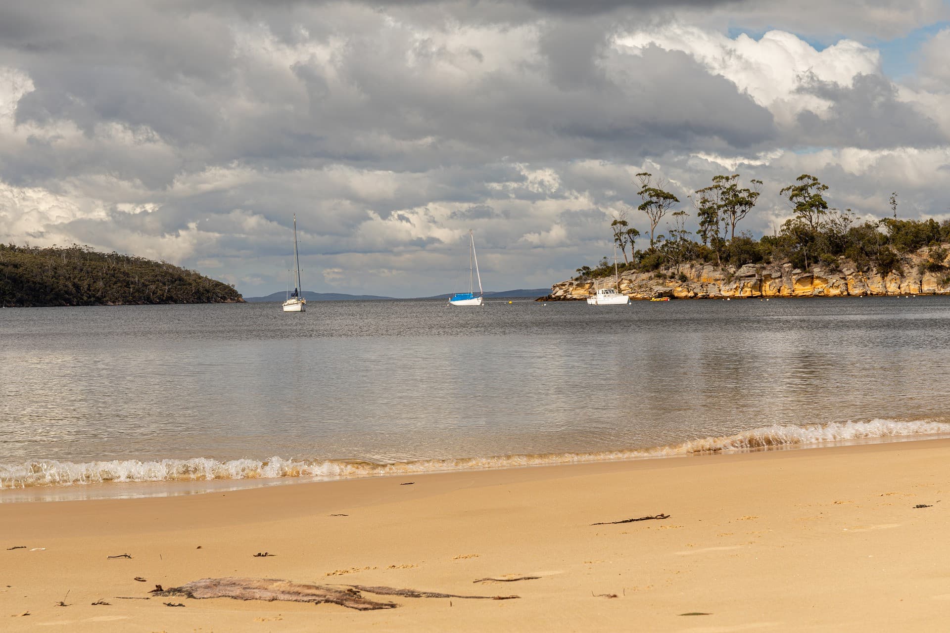 Hobart City Explorer Tour - تصویر 6