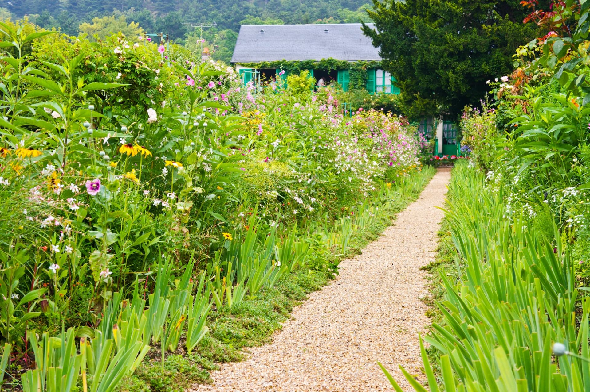 Giverny: Impressionist Day Trip from Paris with Audio Guide - تصویر 12