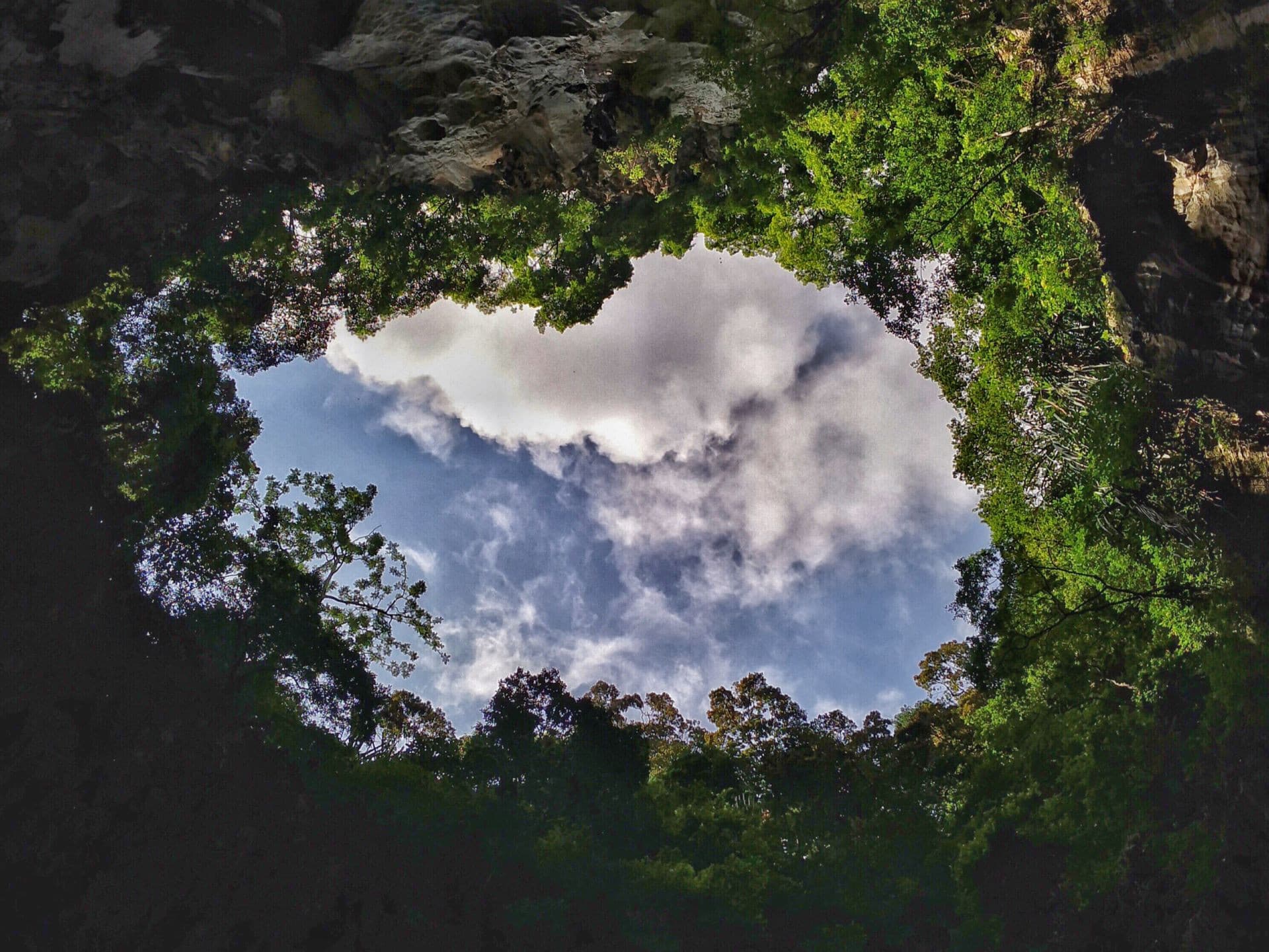 Batu Caves and Kuala Lumpur Countryside Tour - تصویر 7