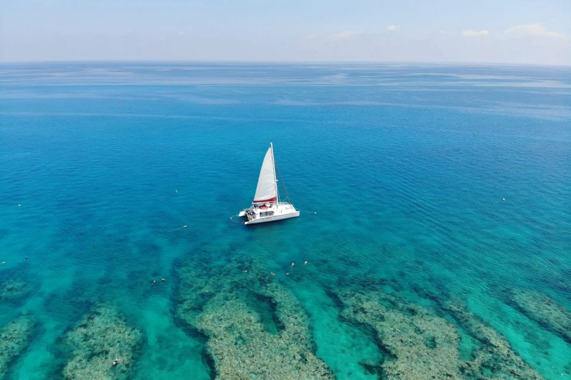 Key West: 3hr Snorkeling Experience with Unlimited Drinks - تصویر 5