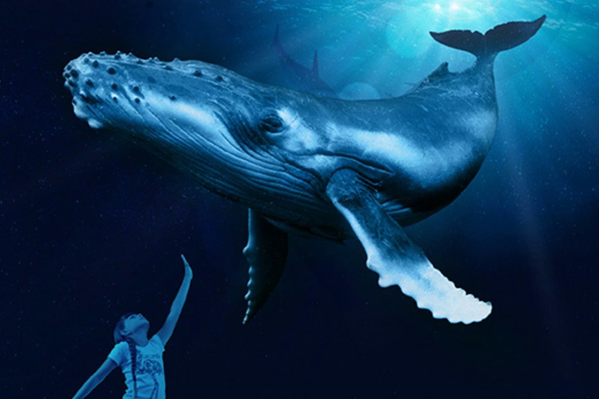 Palma Aquarium: Skip The Line Ticket + Optional 3D Cinema Aquadome - تصویر 3
