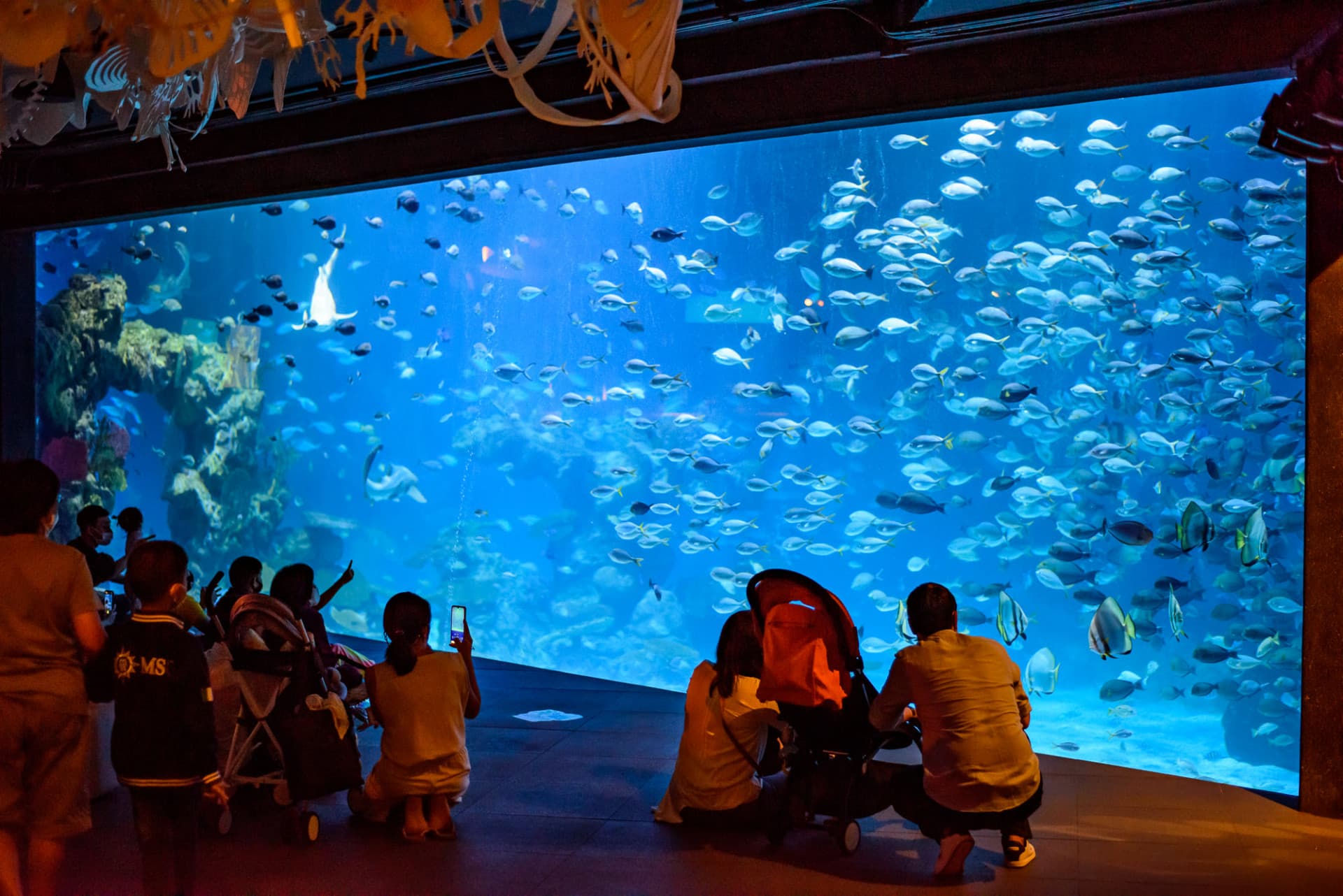 Aquaria Phuket - تصویر 3