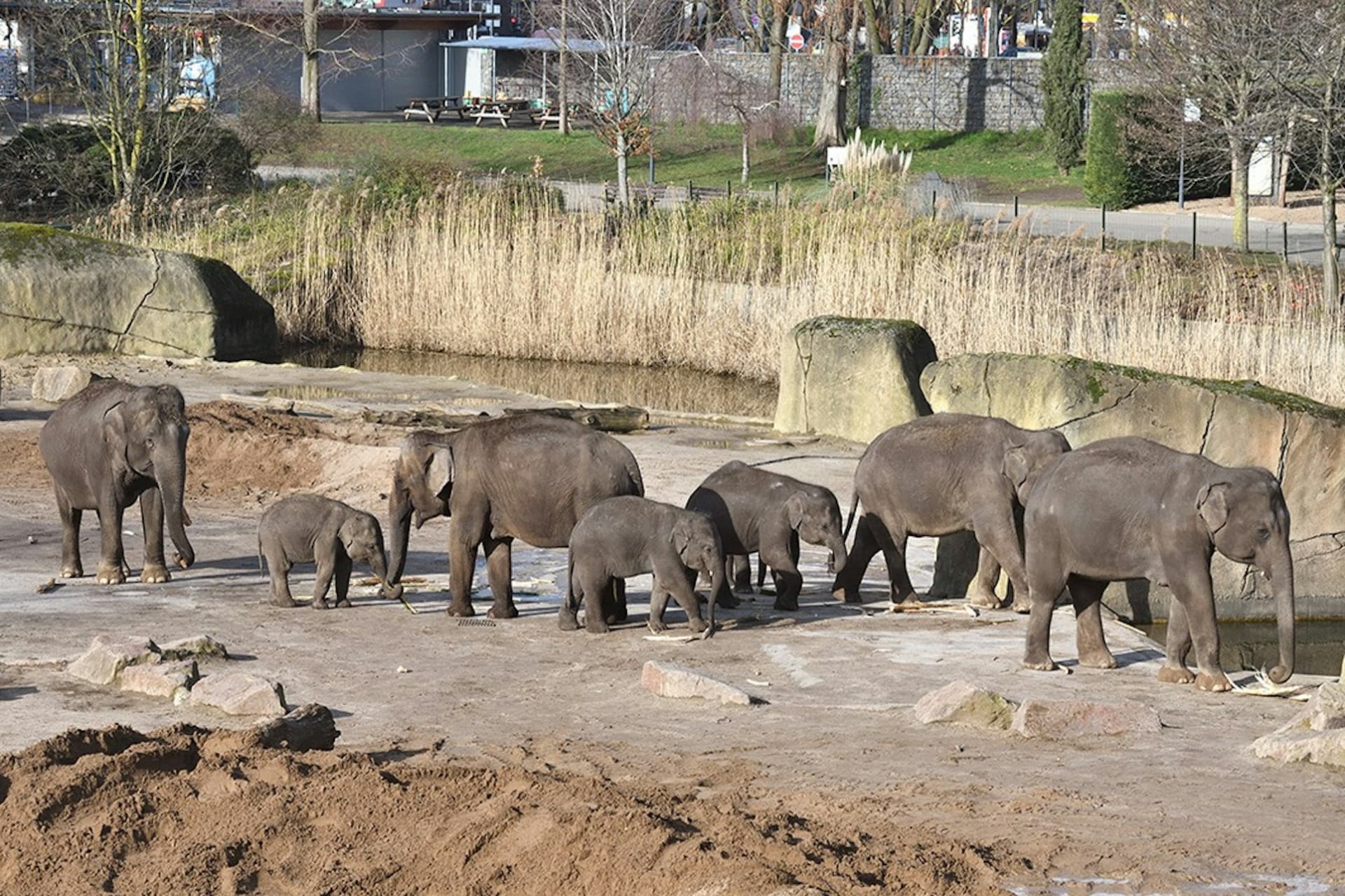 Cologne Zoo & Aquarium Ticket - تصویر 2