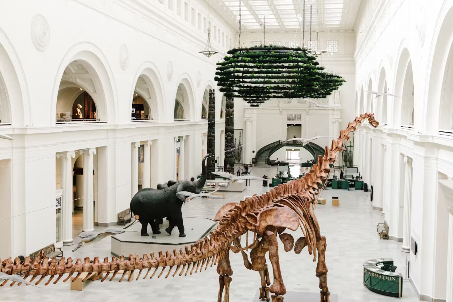 Chicago CityPASS: Admission to 5 Top Attractions - تصویر 4
