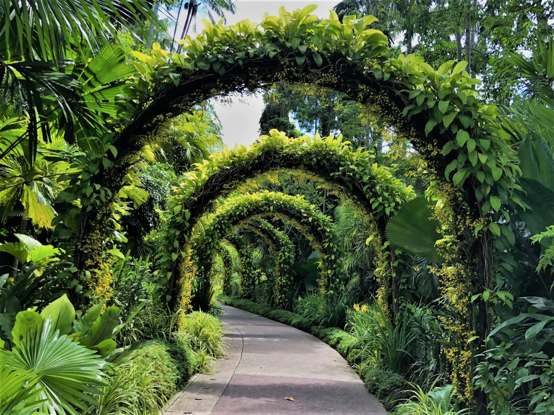 National Orchid Garden Ticket - تصویر 13