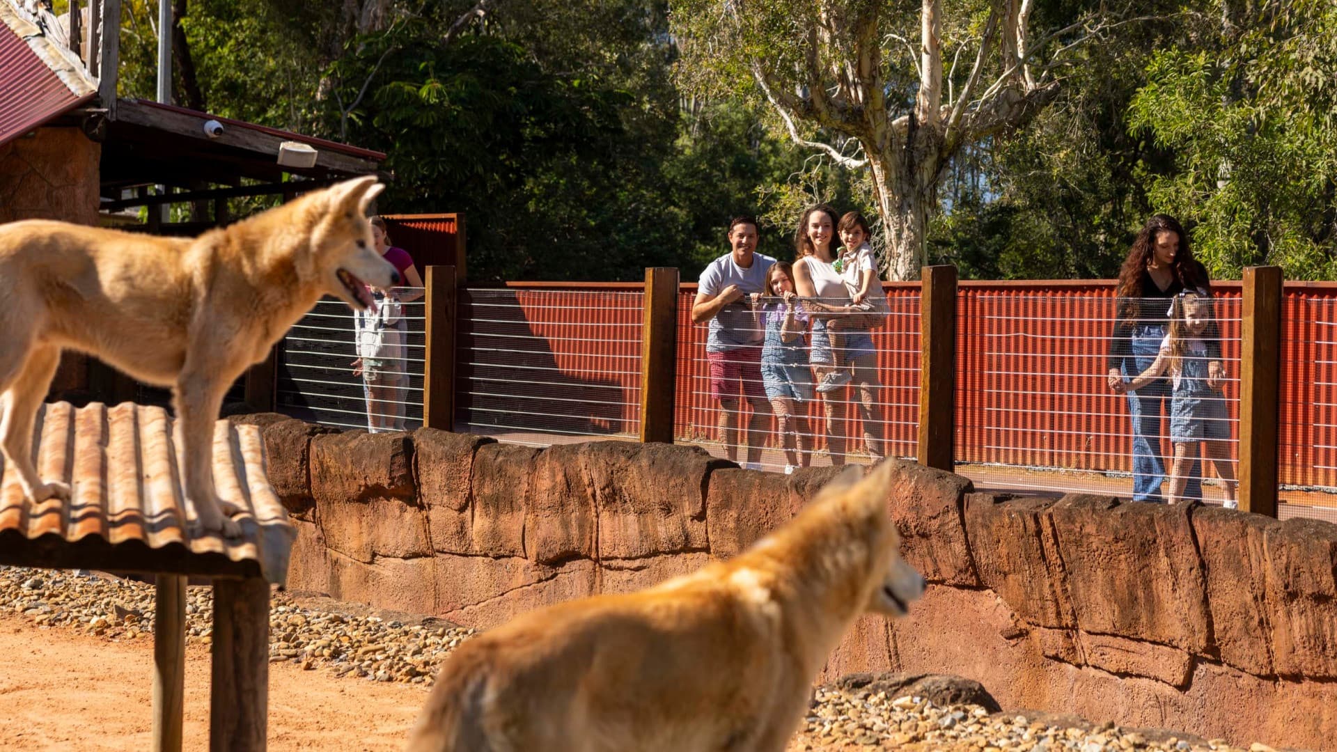 Dreamworld, WhiteWater World, and SkyPoint Gold Coast Multi-day Ticket - تصویر 7