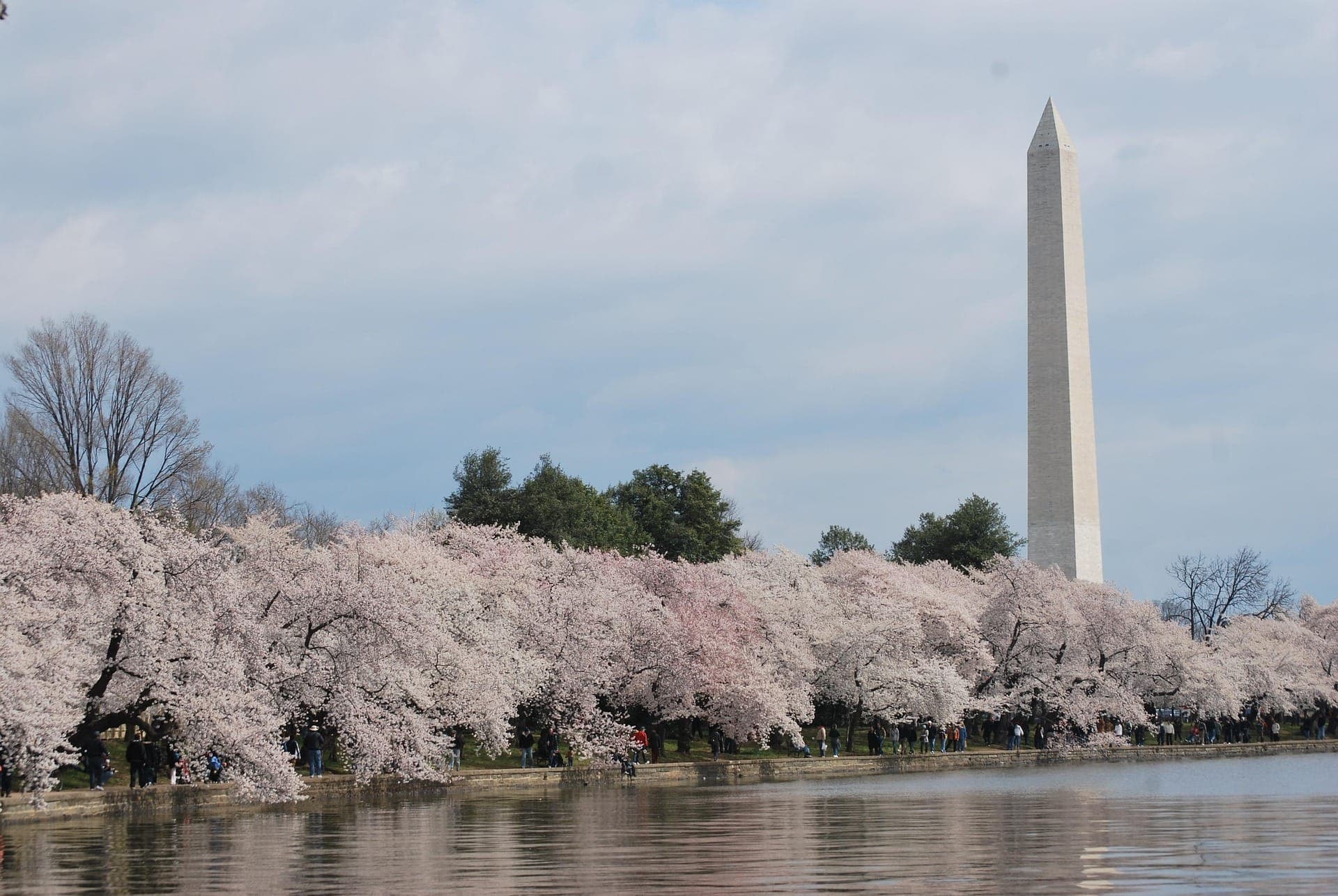 Washington Monument Ticket + Optional Guided Tour - تصویر 6