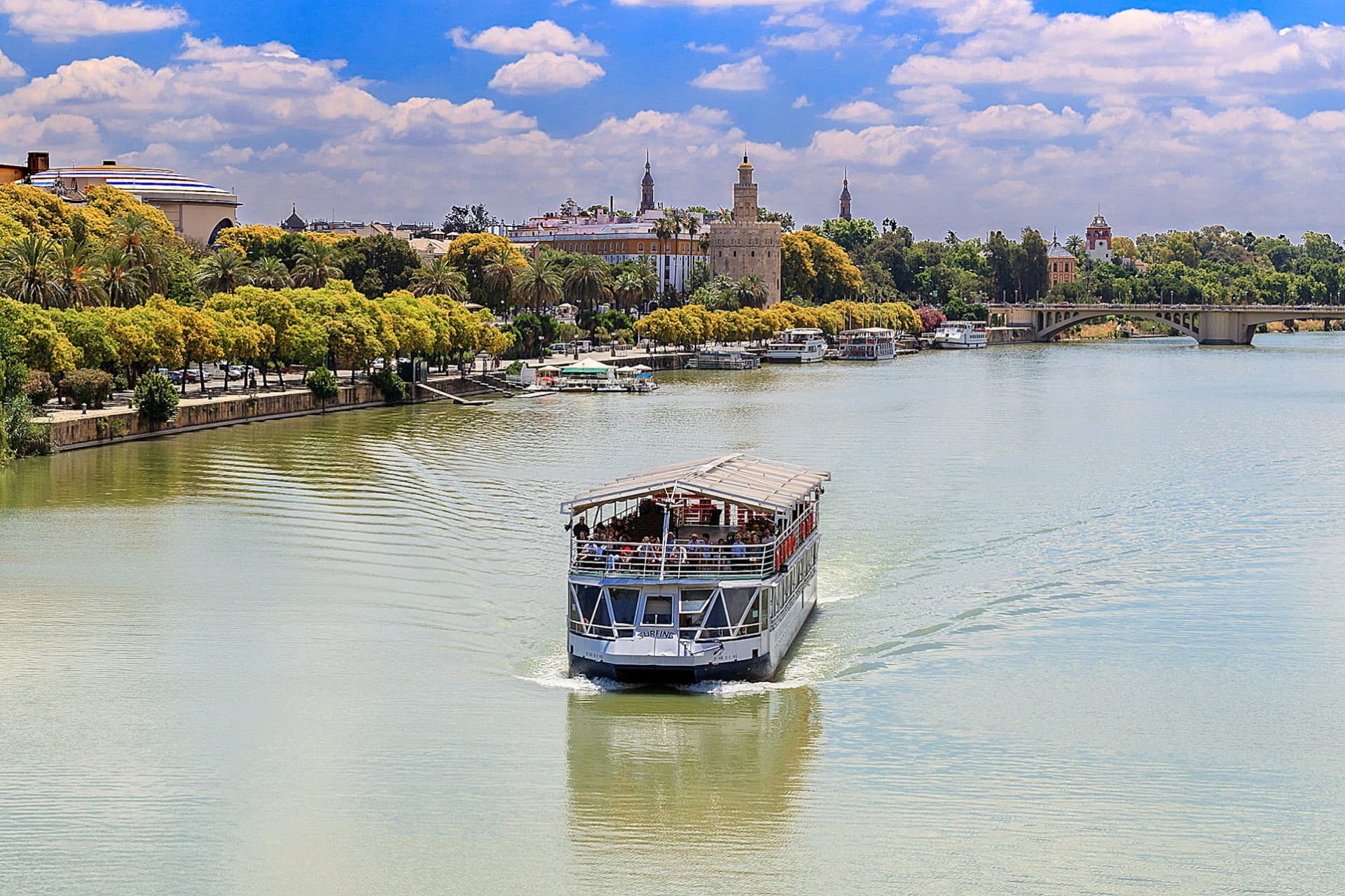 Seville: Sightseeing Cruise from Torre Del Oro - تصویر 3