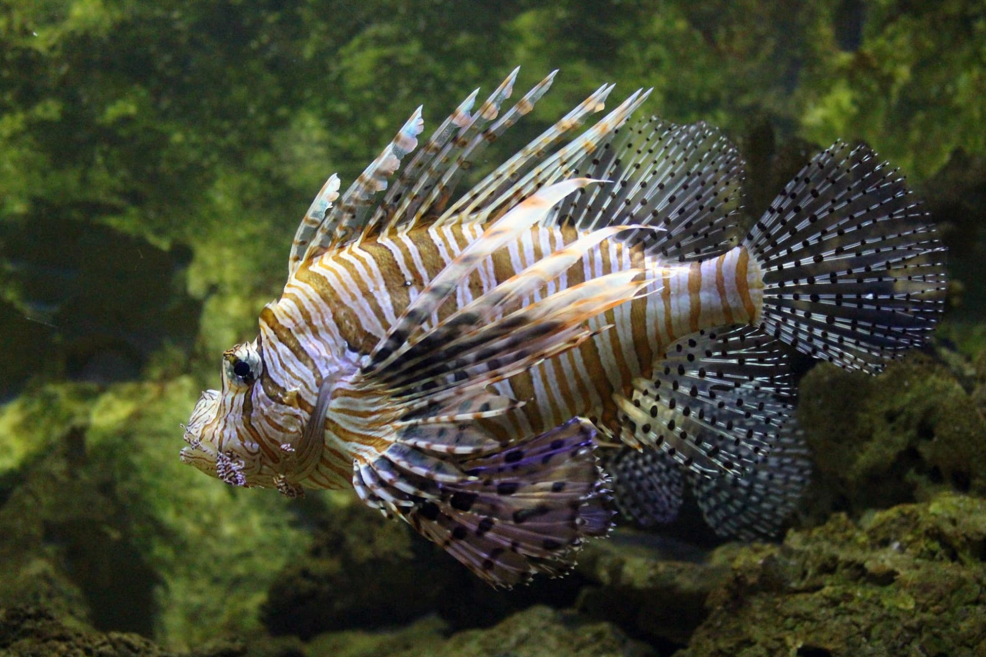 Yehliu Ocean World - تصویر 13