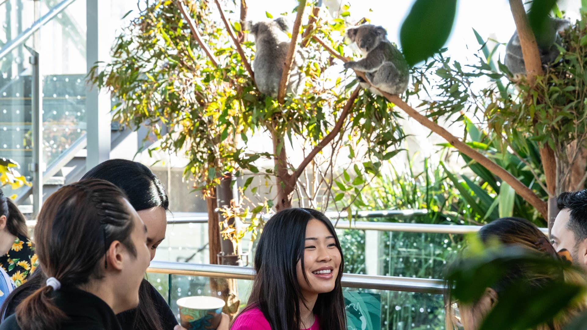 Breakfast with the Koalas at WILD LIFE SYDNEY - تصویر 4