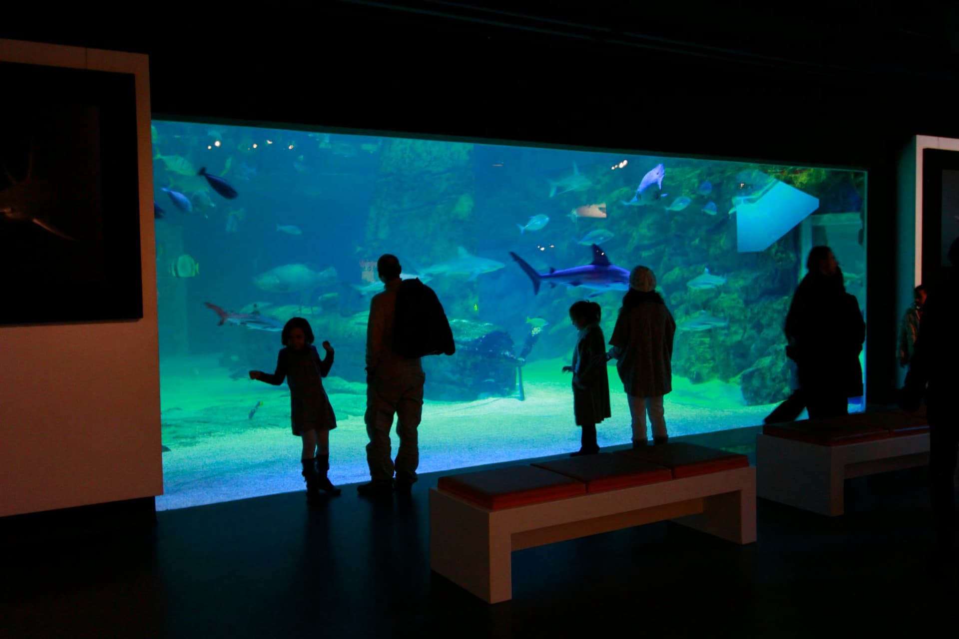 Seaquarium Le Grau-du-Roi Ticket - تصویر 9
