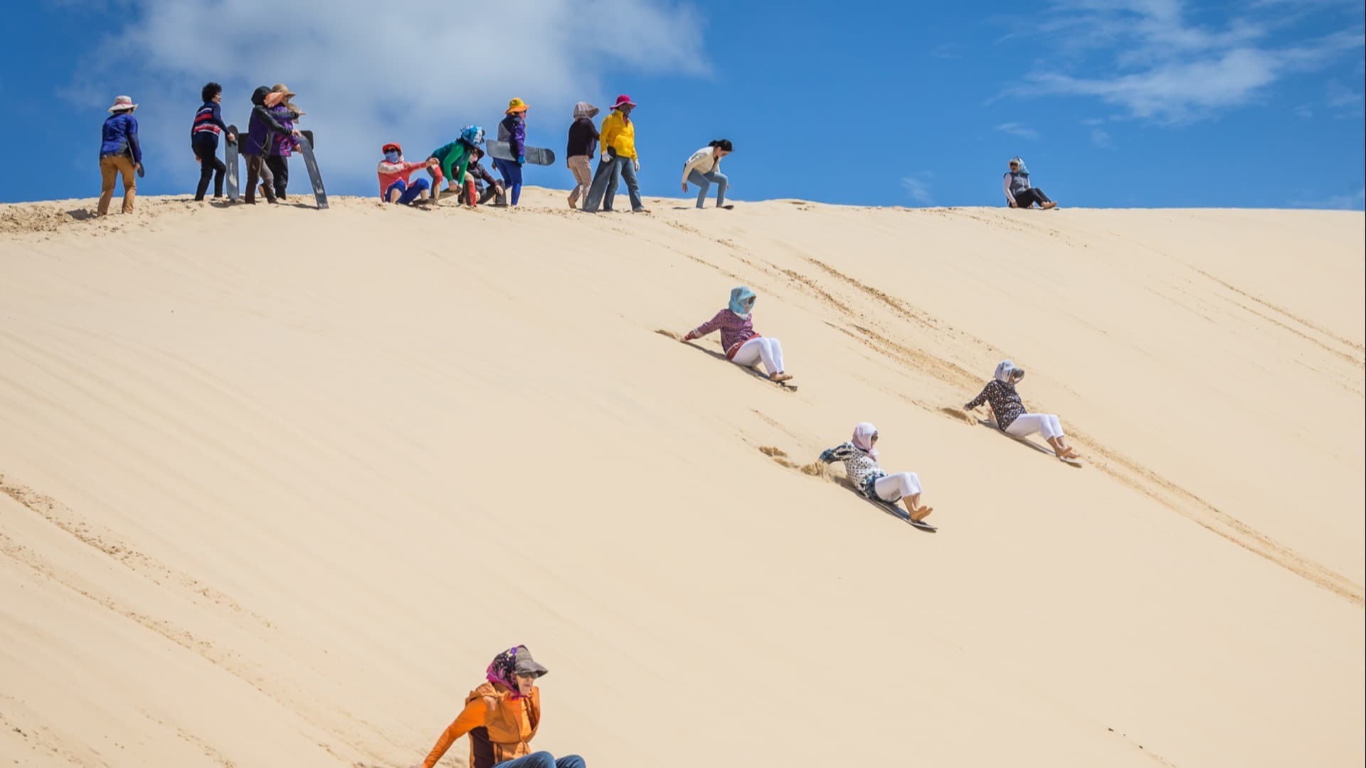 Port Stephens 4WD Sandboarding Experience - تصویر 3