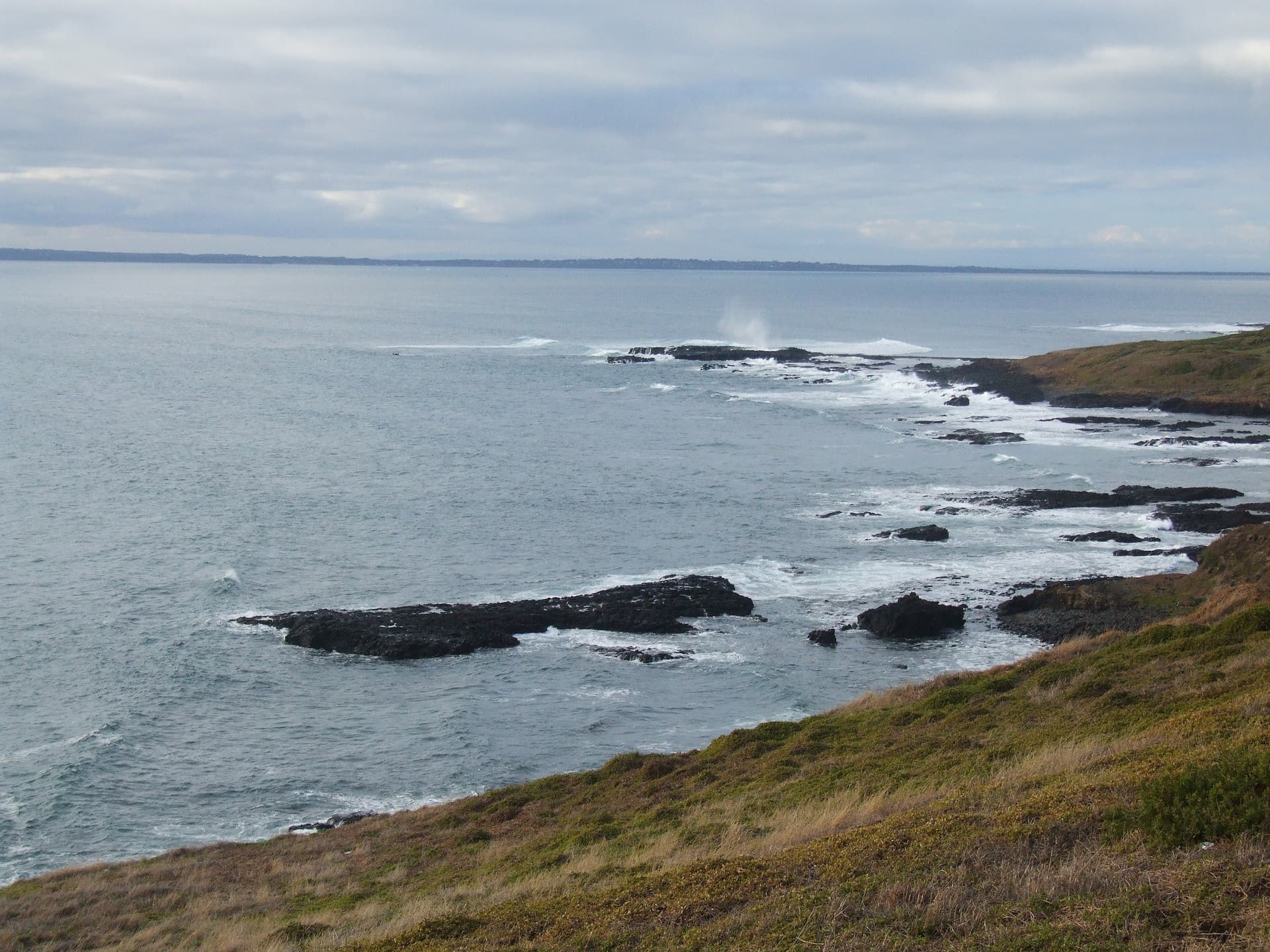 Phillip Island Nature Parks - Penguin Parade Ticket - تصویر 11