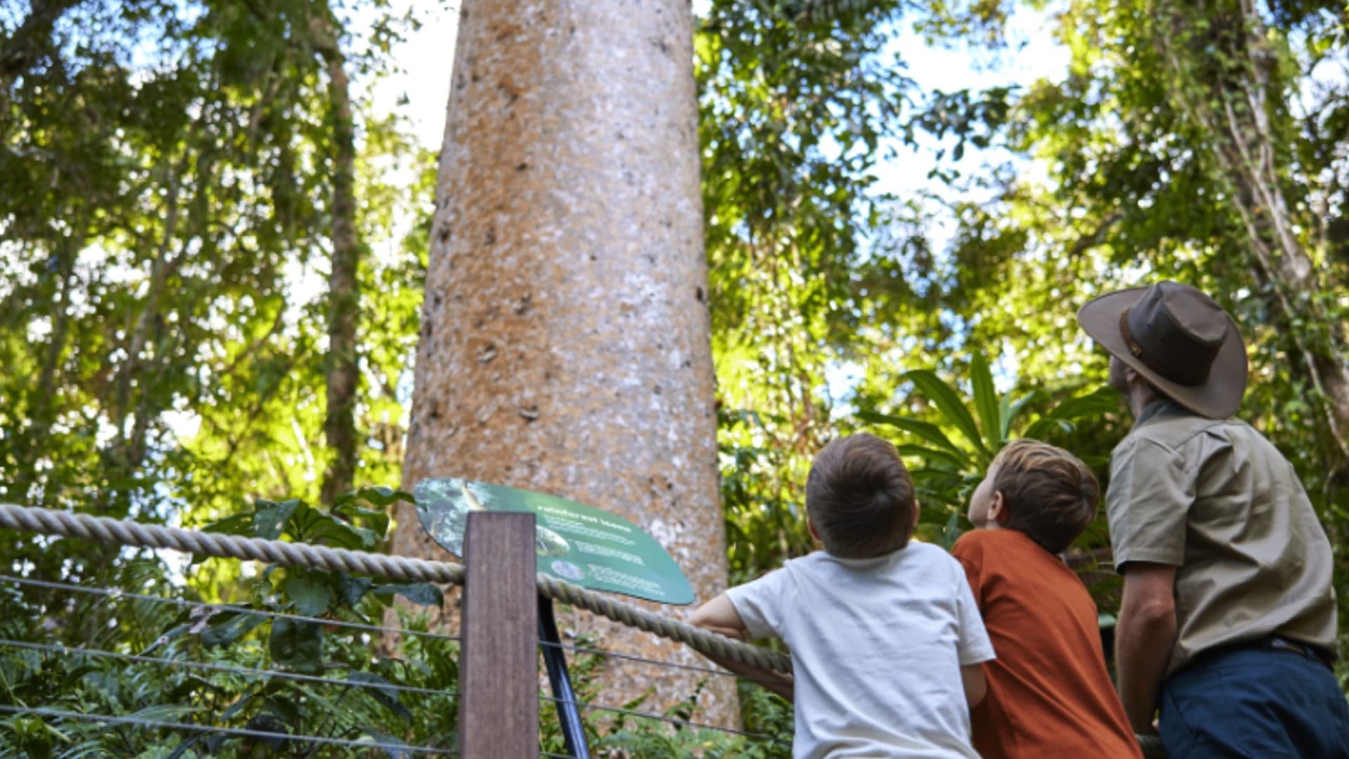 Skyrail Rainforest Cableway with Optional Kuranda Scenic Train Ticket and Hotel Pick-Up - تصویر 10