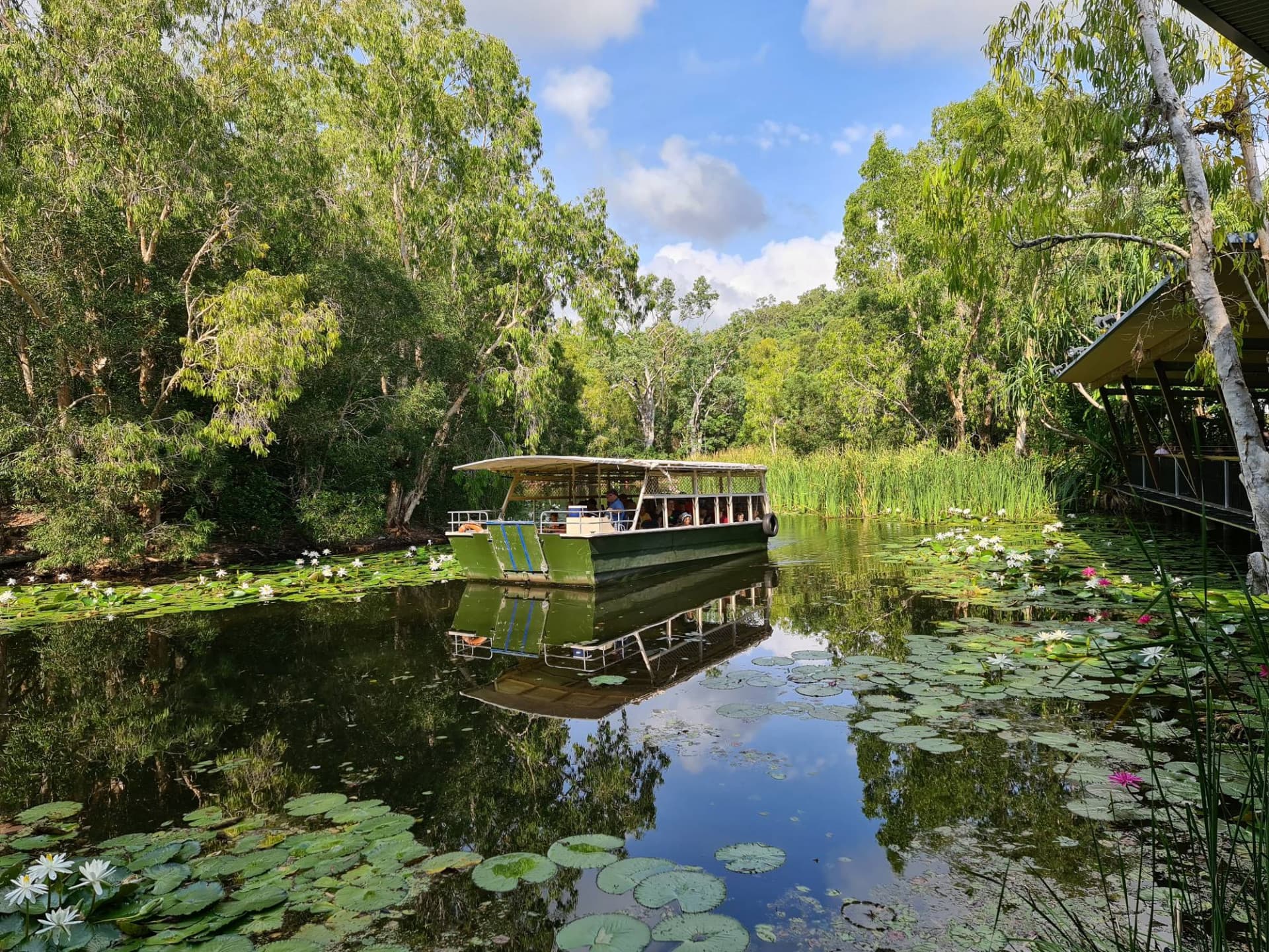 Hartley's Crocodile Adventures - تصویر 4
