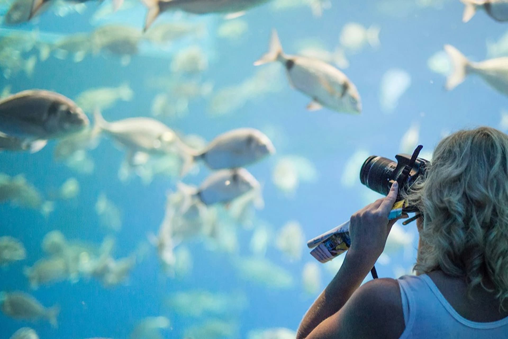 Palma Aquarium: Skip The Line Ticket + Optional 3D Cinema Aquadome - تصویر 8