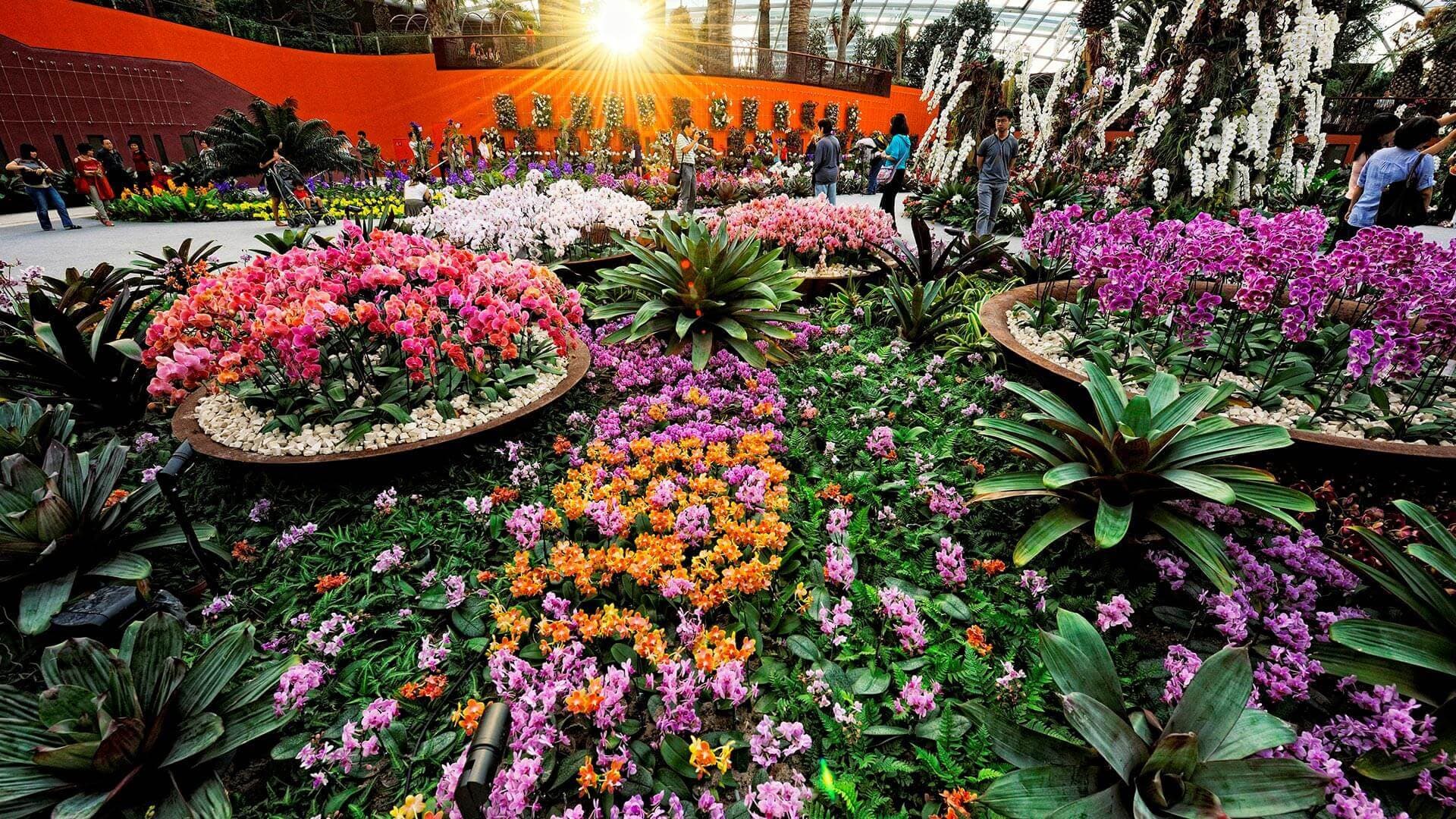 IMBA Theatre Ticket at Gardens by the Bay - تصویر 7
