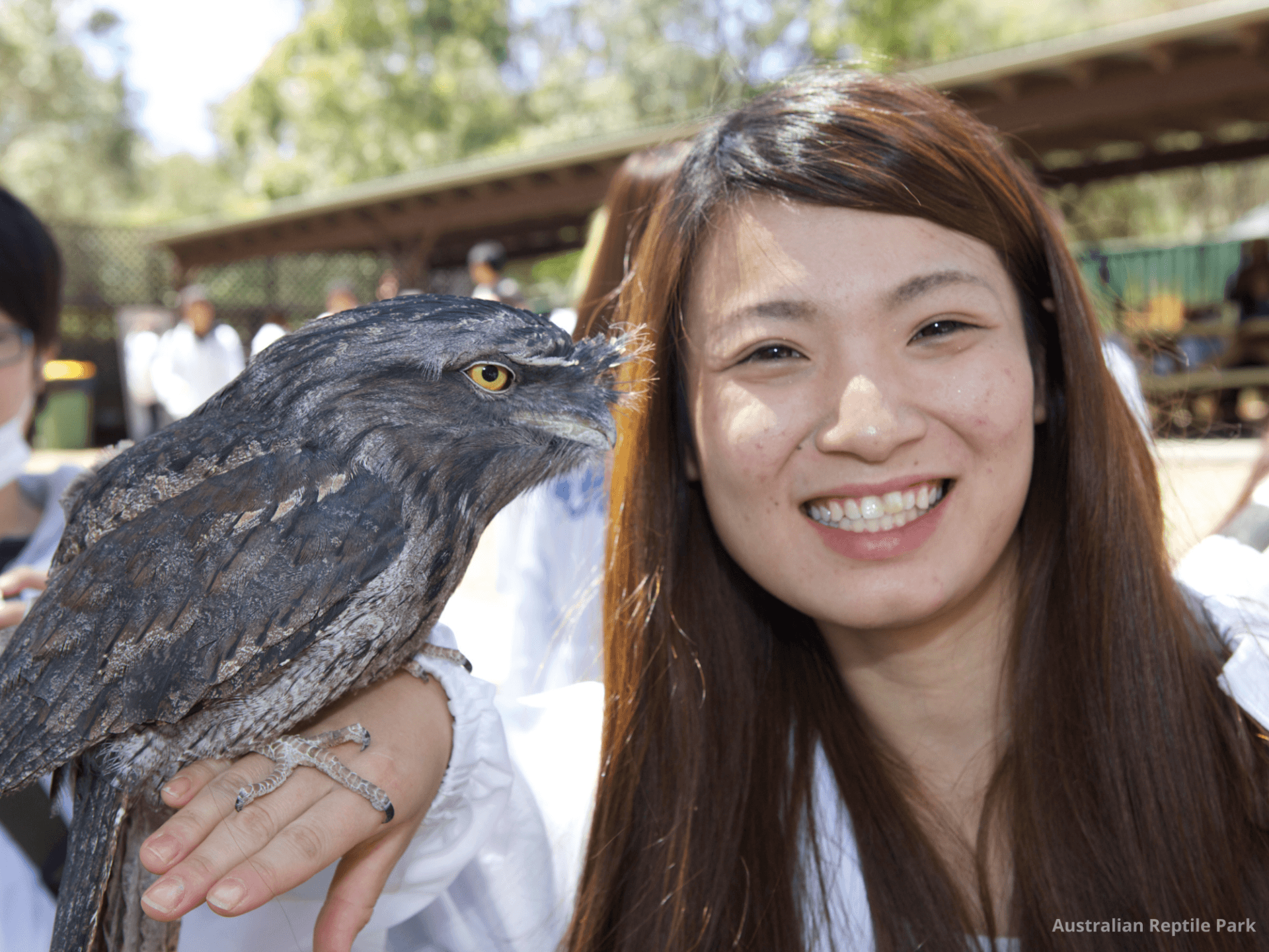 Australian Reptile Park - تصویر 42