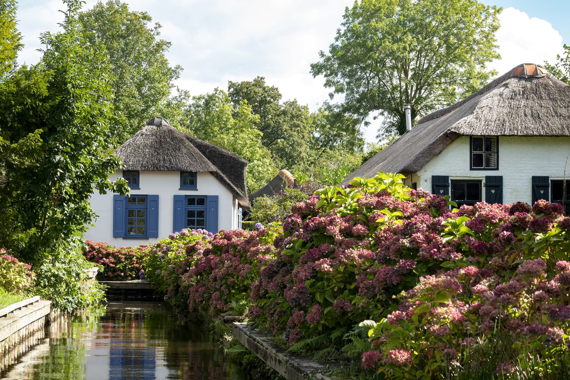 Giethoorn Full-Day Tour from Amsterdam with Canal Cruise and Self-Guided Walking Tour - تصویر 11