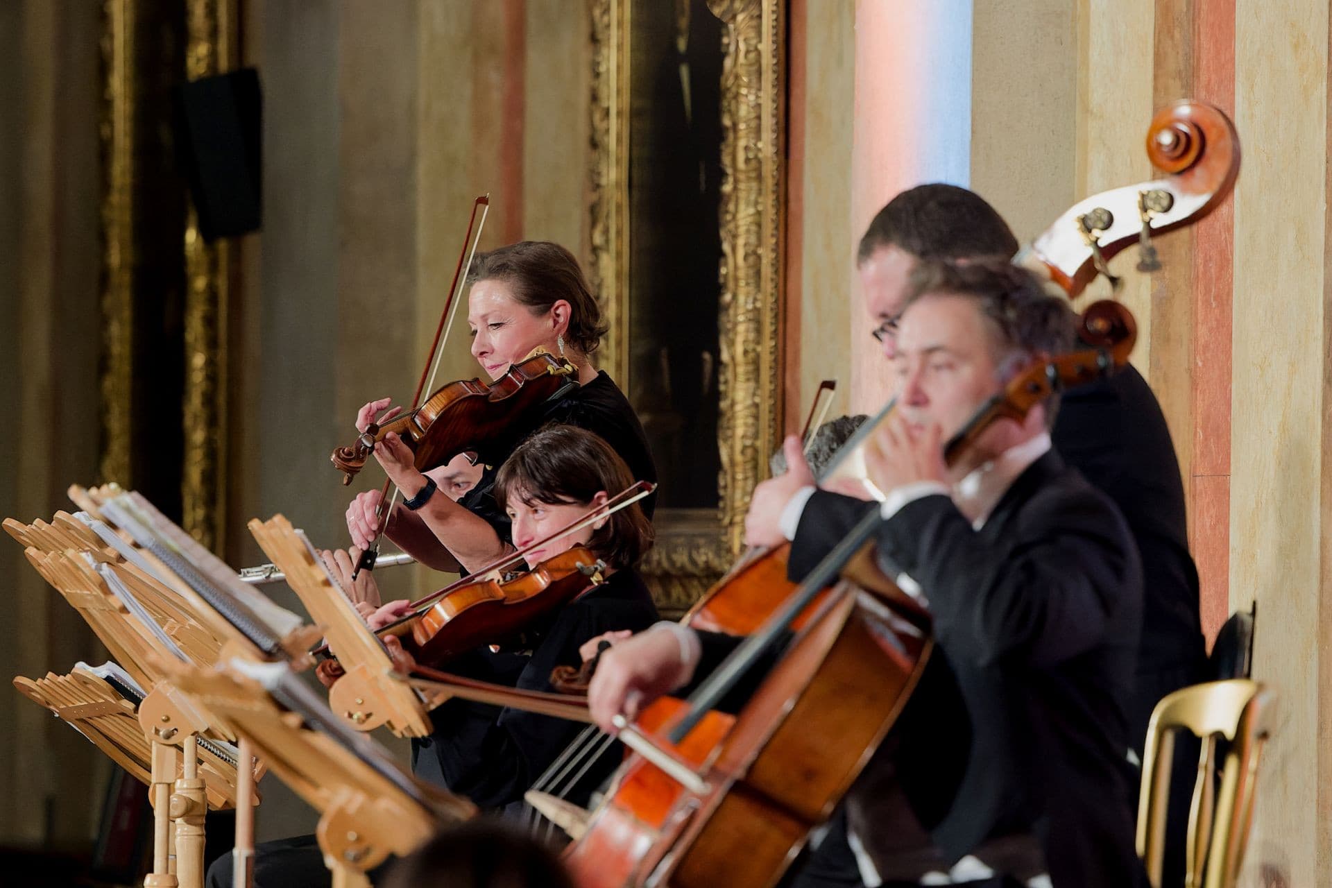 Vienna Residence Orchestra at Borse Palace Ticket - تصویر 5