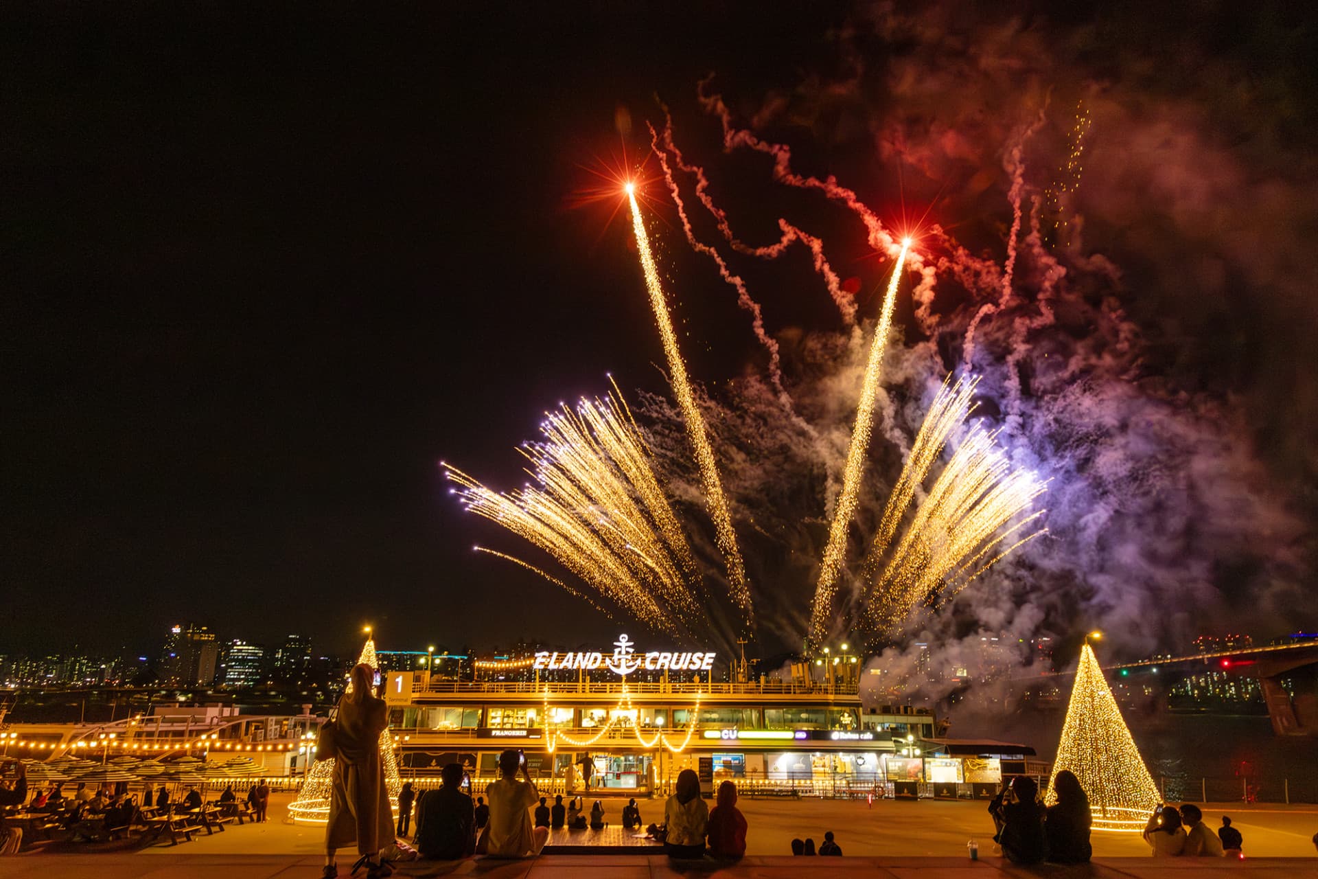 Han River Eland Cruise - تصویر 8