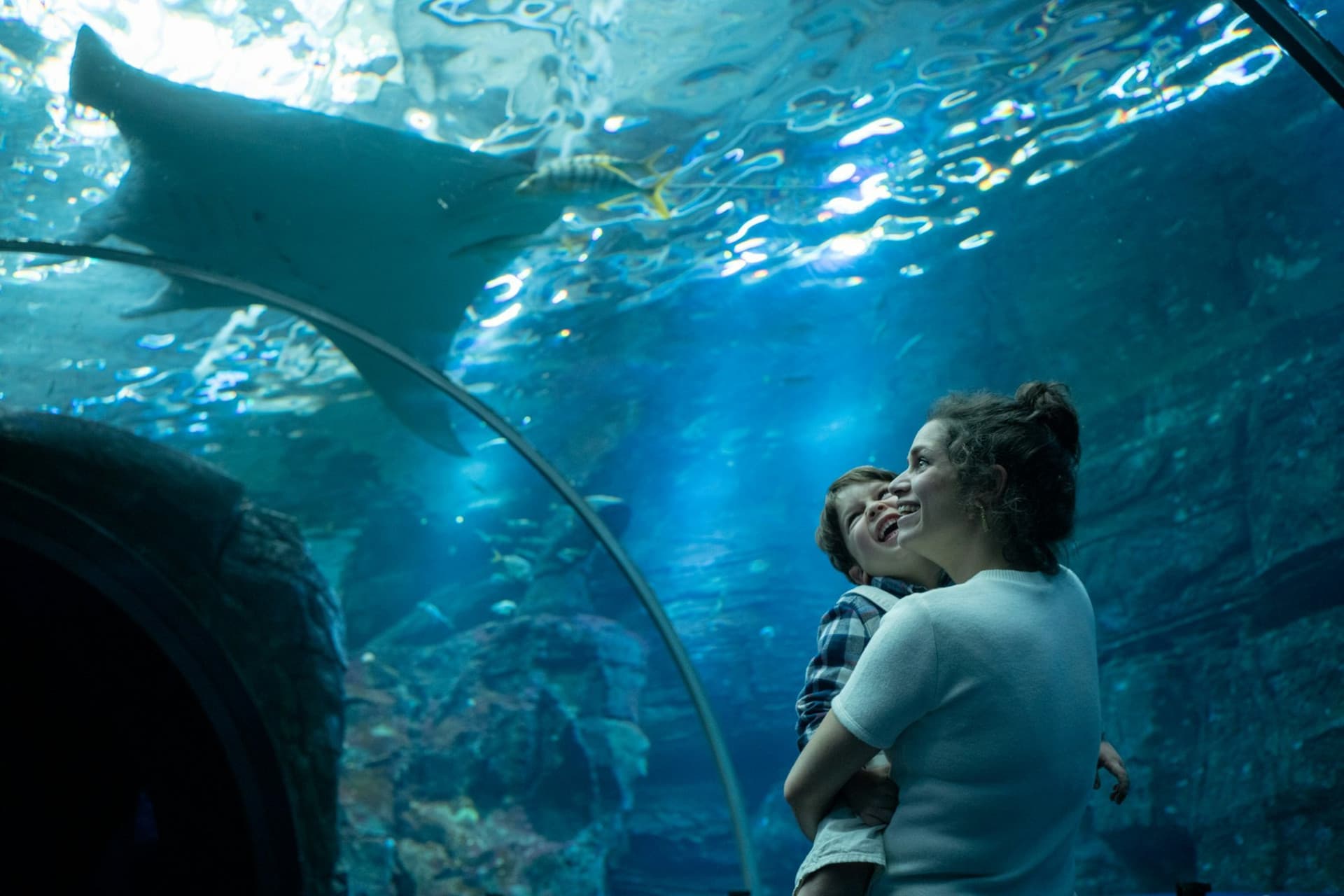 Nausicaa: Skip The Line Ticket - تصویر 5