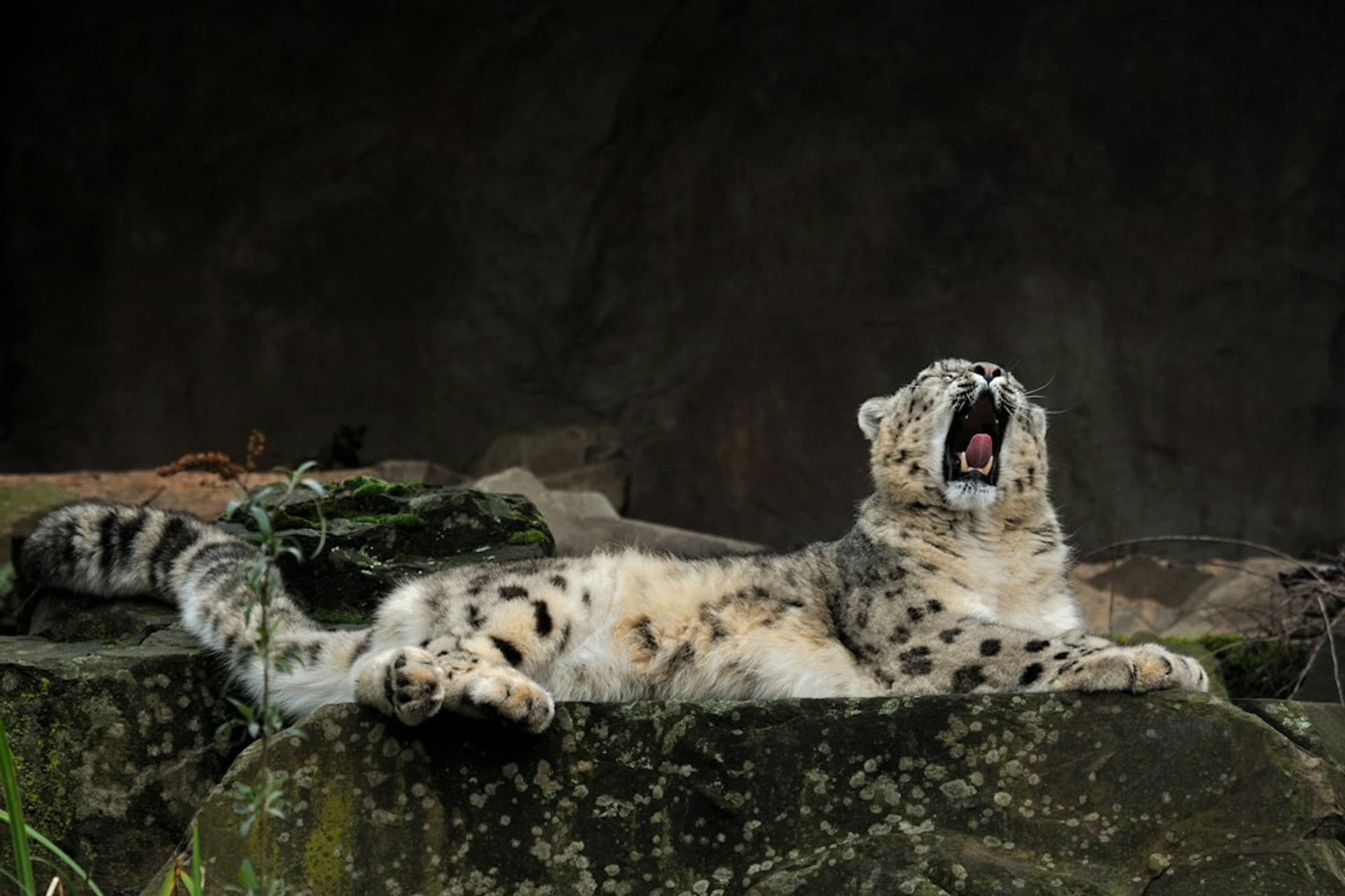 Cologne Zoo & Aquarium Ticket - تصویر 13