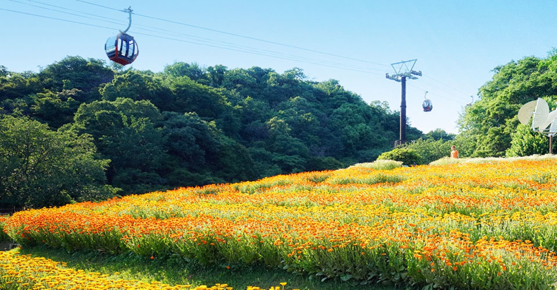 Kobe Nunobiki Herb Gardens and Ropeway Cable Car - تصویر اصلی