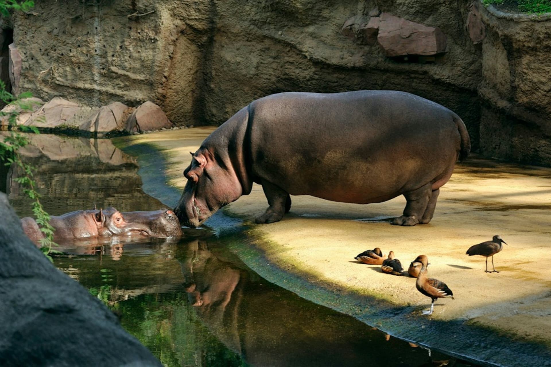 Cologne Zoo & Aquarium Ticket - تصویر 3