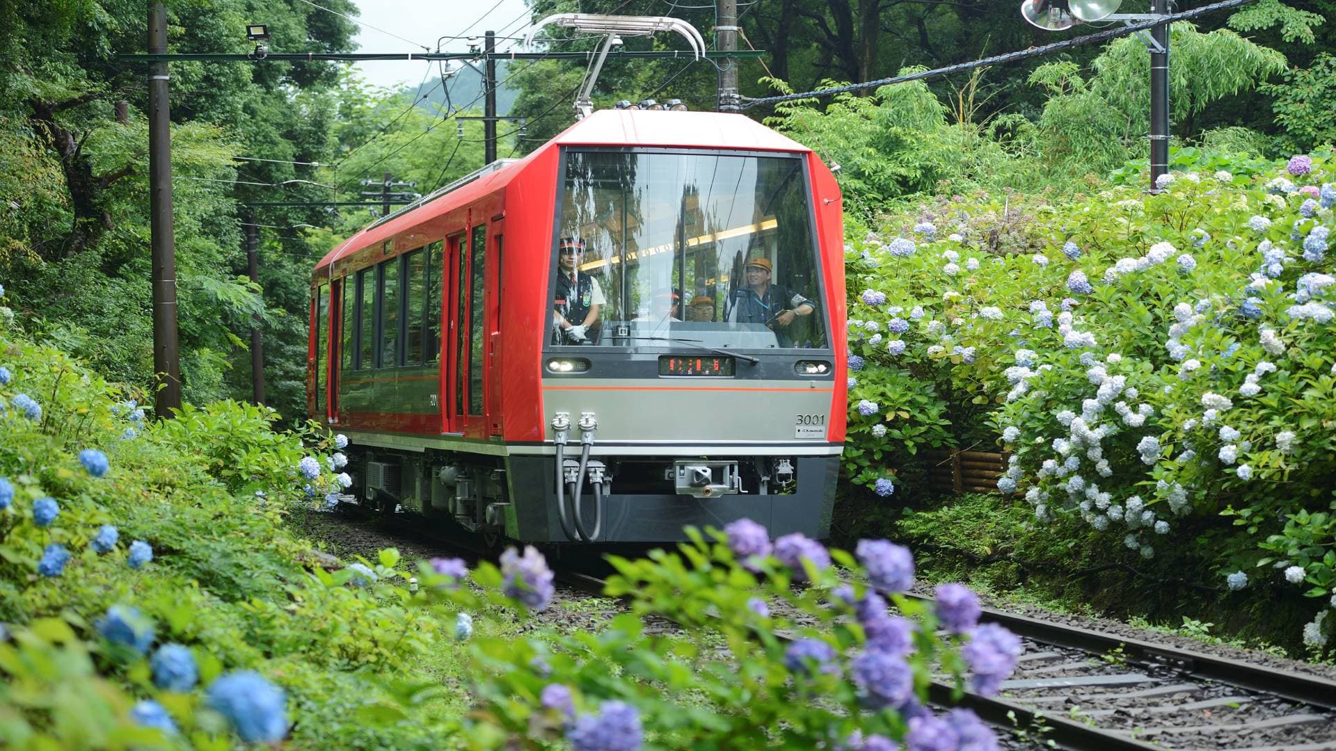 Hakone Freepass - تصویر اصلی