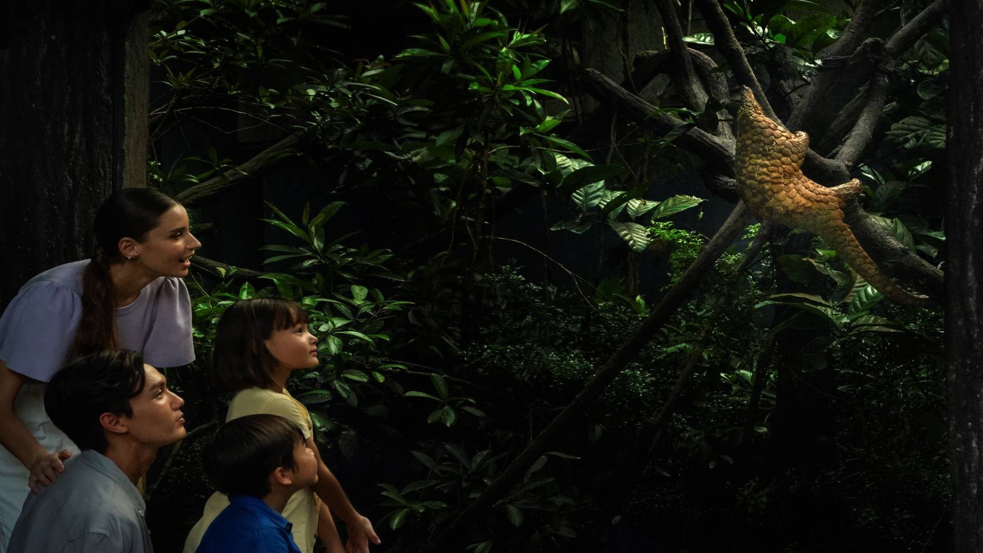 Singapore Night Safari Ticket - تصویر 8