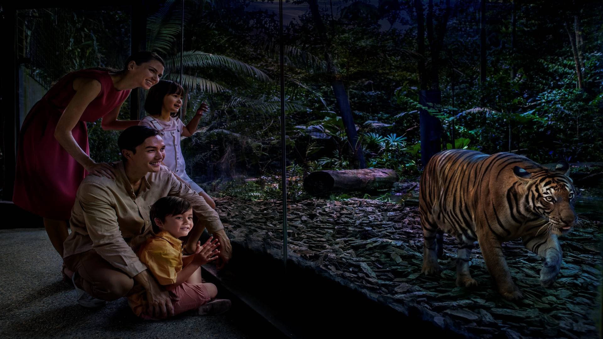 Singapore Night Safari Ticket - تصویر 3