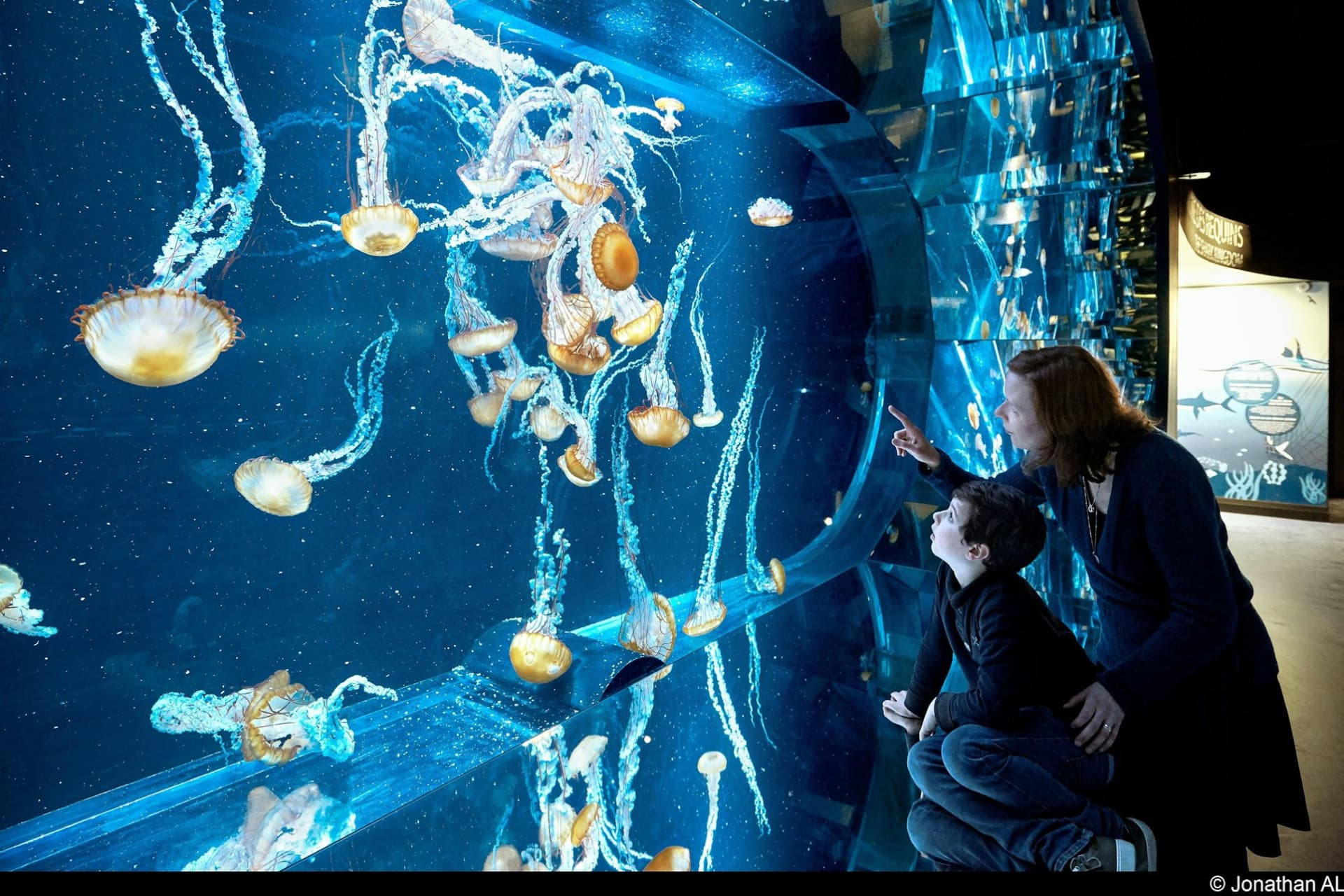 Nausicaa: Skip The Line Ticket - تصویر 8