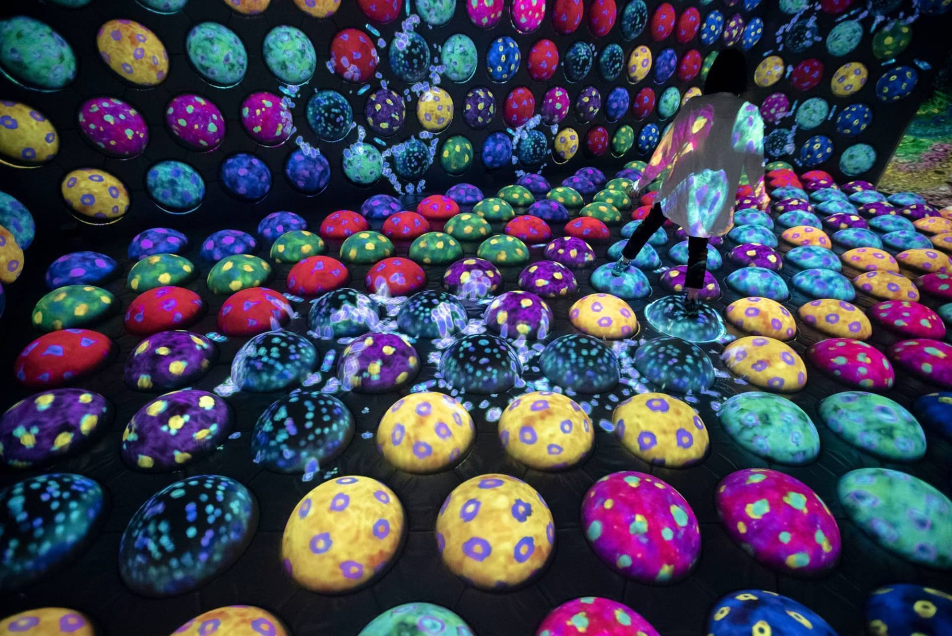 teamLab Forest Fukuoka - تصویر 9