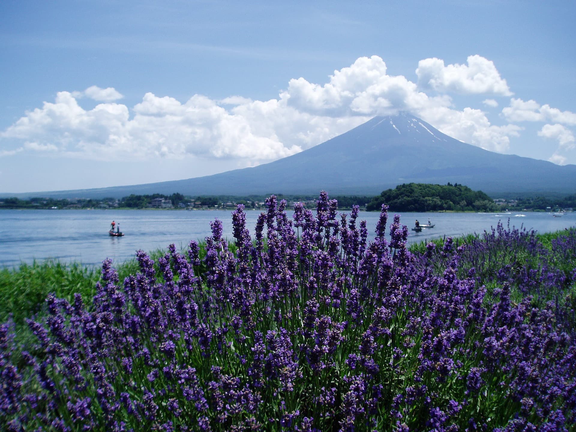 Mount Fuji and Oshino Hakkai Ole Hot Spring Full-Day Tour from Tokyo - تصویر اصلی