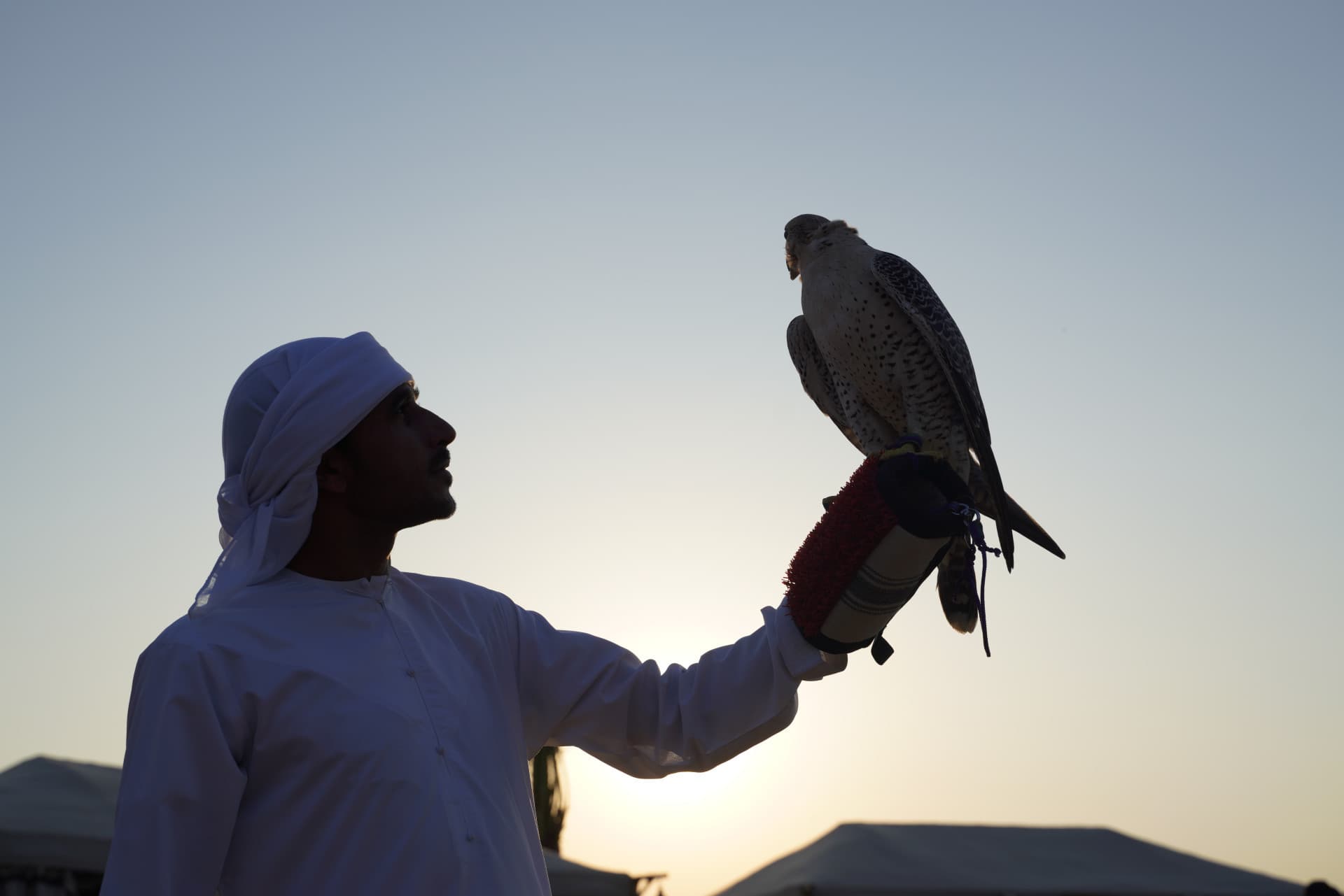 Dubai Red Dunes Desert Safari Tour with Camel Ride and Buffet Dinner at Al Khayma Camp - تصویر 10