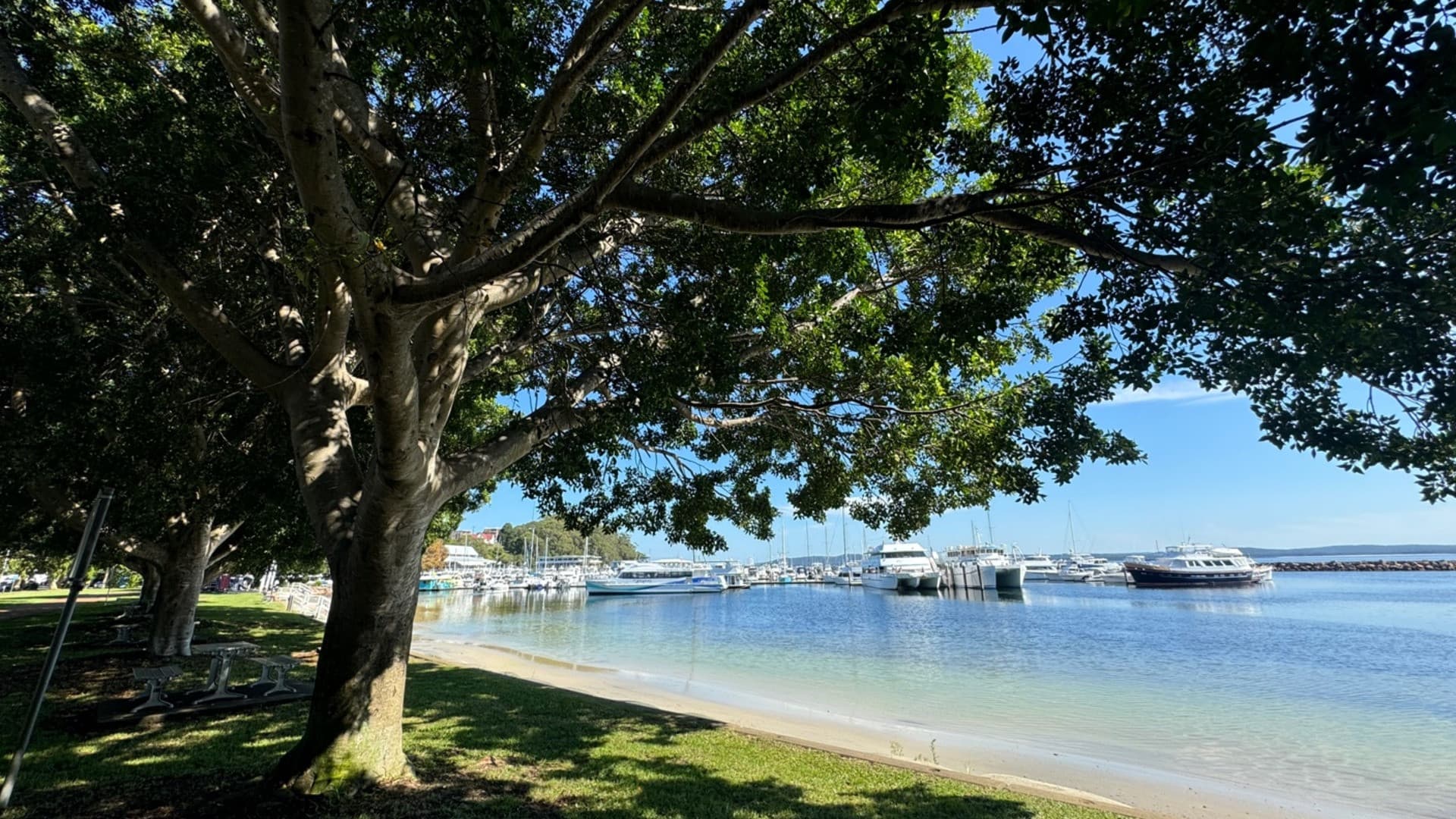 Port Stephens Tour with 4WD Ride and Sandboarding from Sydney - تصویر 4