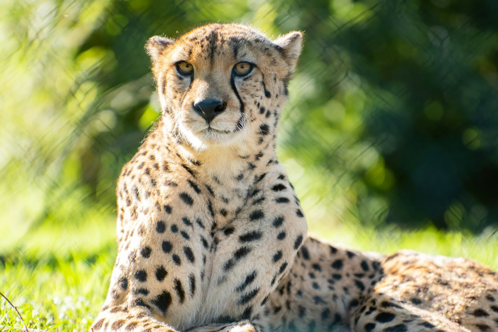 Zoo Santo Inácio Ticket - تصویر 13