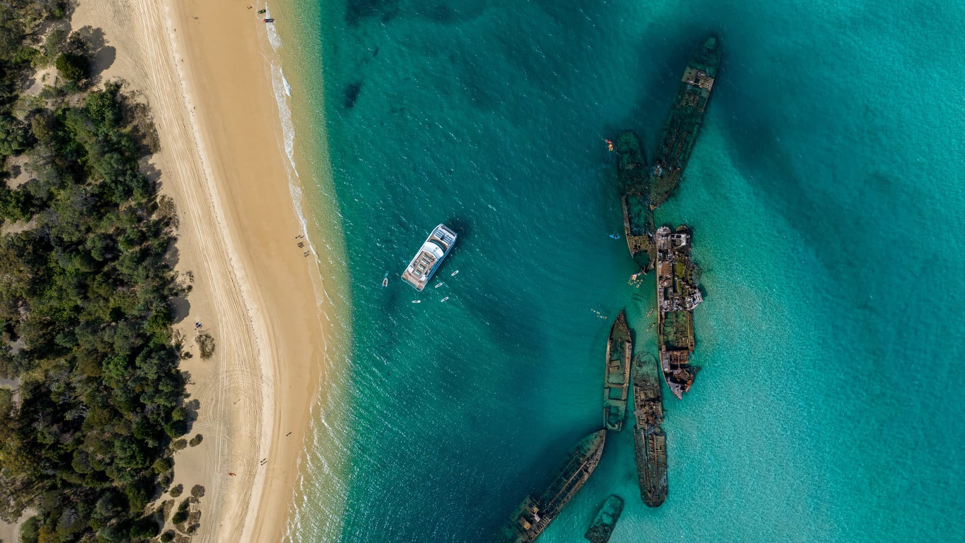 Tangalooma Wrecks & Dolphin Cruise Optional Round transfer from Brisbane City and Gold Coast - تصویر 14
