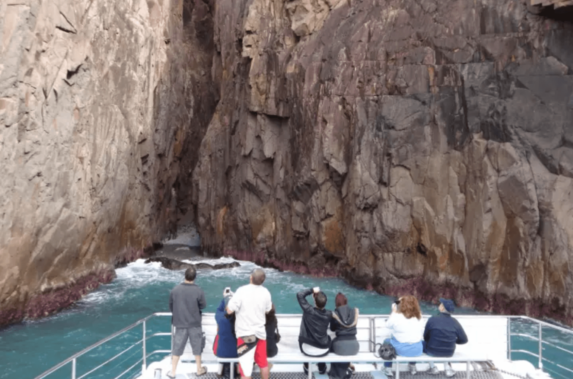 Port Stephens Dolphin Watch and Eco Adventure Cruise - تصویر 3