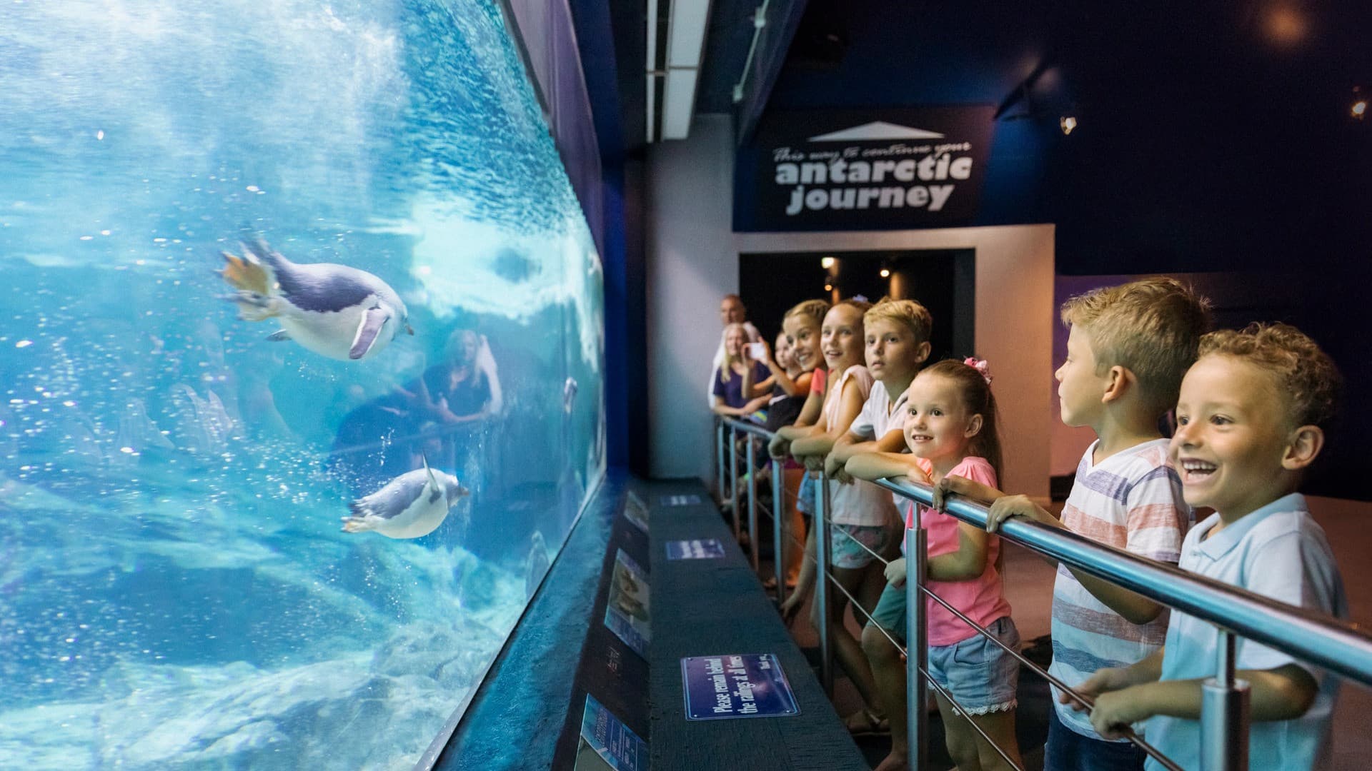 Sea World Gold Coast Ticket - تصویر 10
