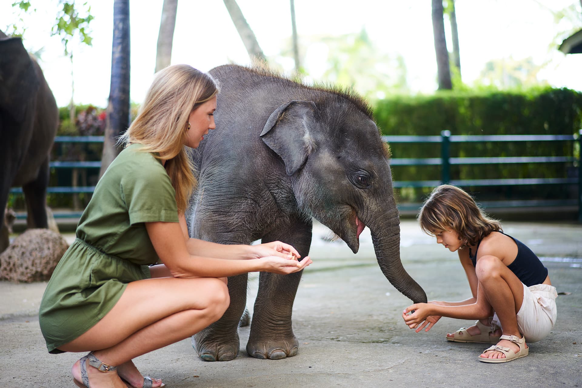 Mason Elephant Park Bali by Mason Adventures (Formerly known as Elephant Safari Park) - تصویر اصلی