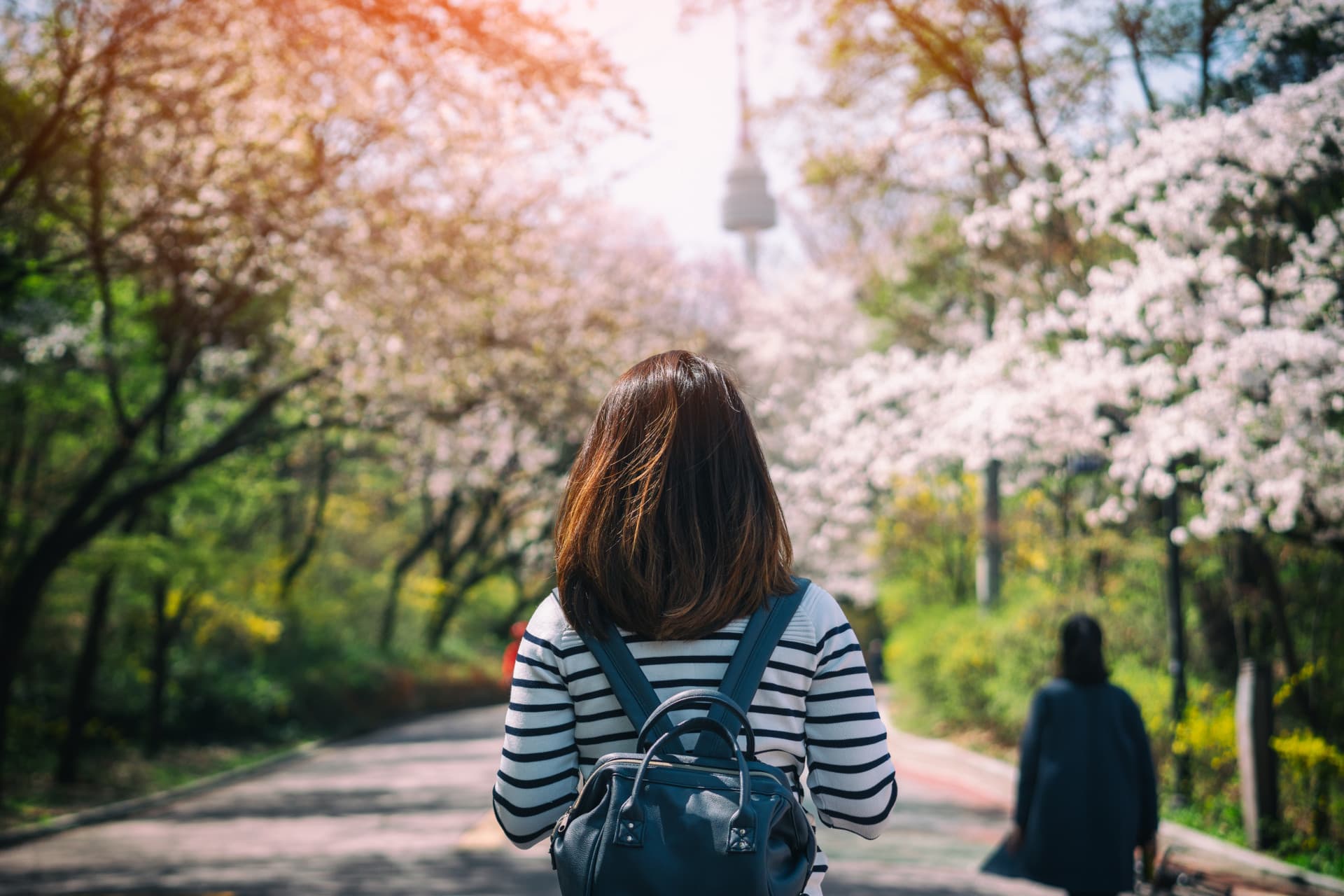 Professional Photo Shoot in Seoul - تصویر 2