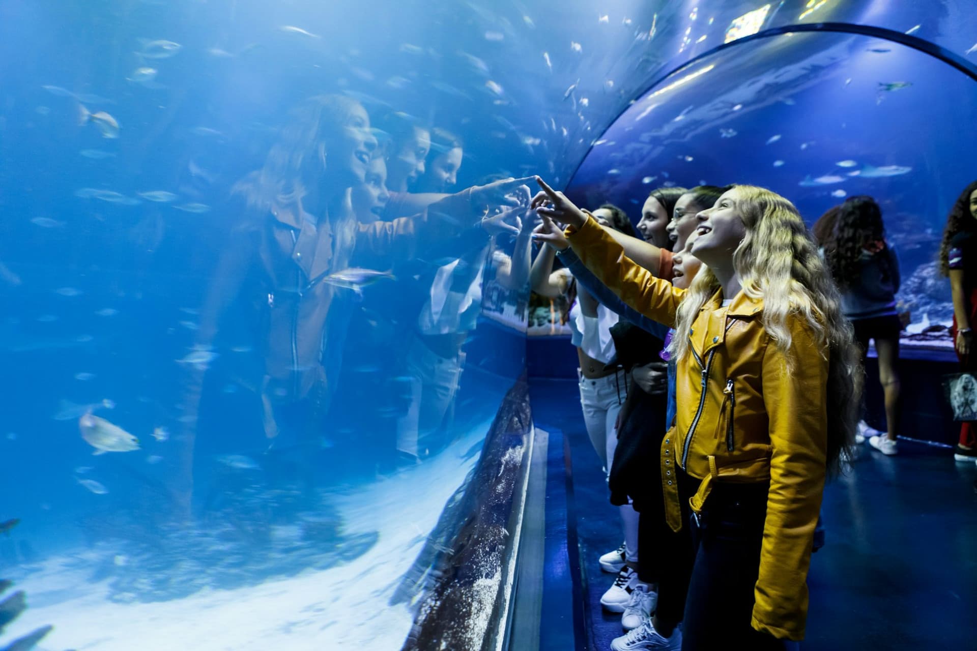 Atlantis Aquarium Madrid Ticket - تصویر اصلی
