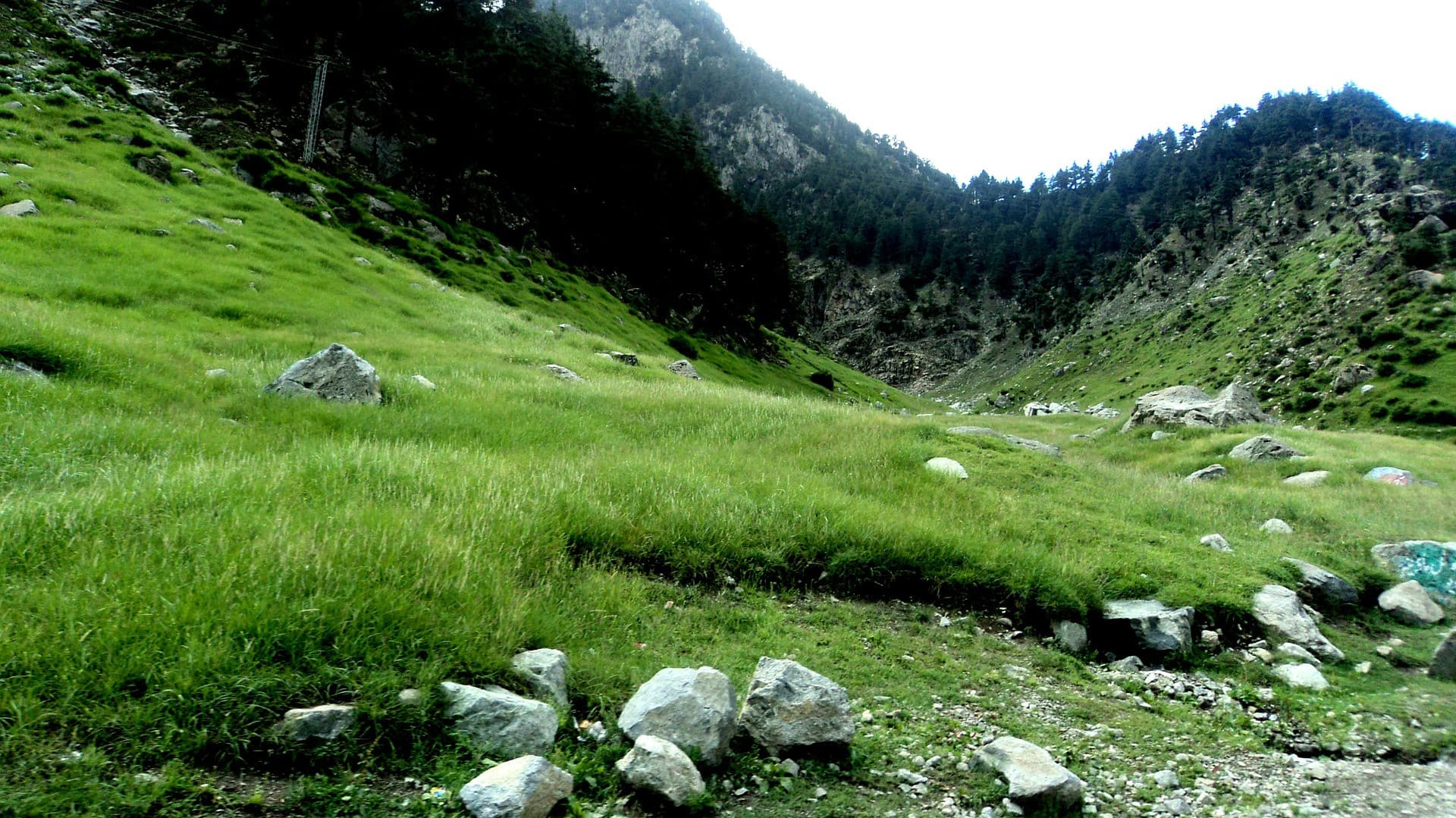 Qingjing Farm Green Green Grassland - تصویر 11