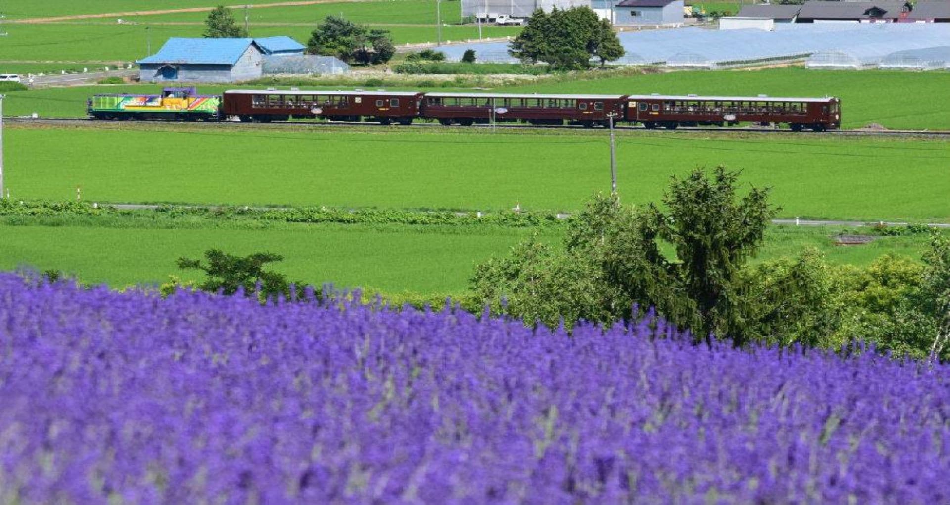 Hokkaido Sapporo-Furano Area Pass - تصویر 3